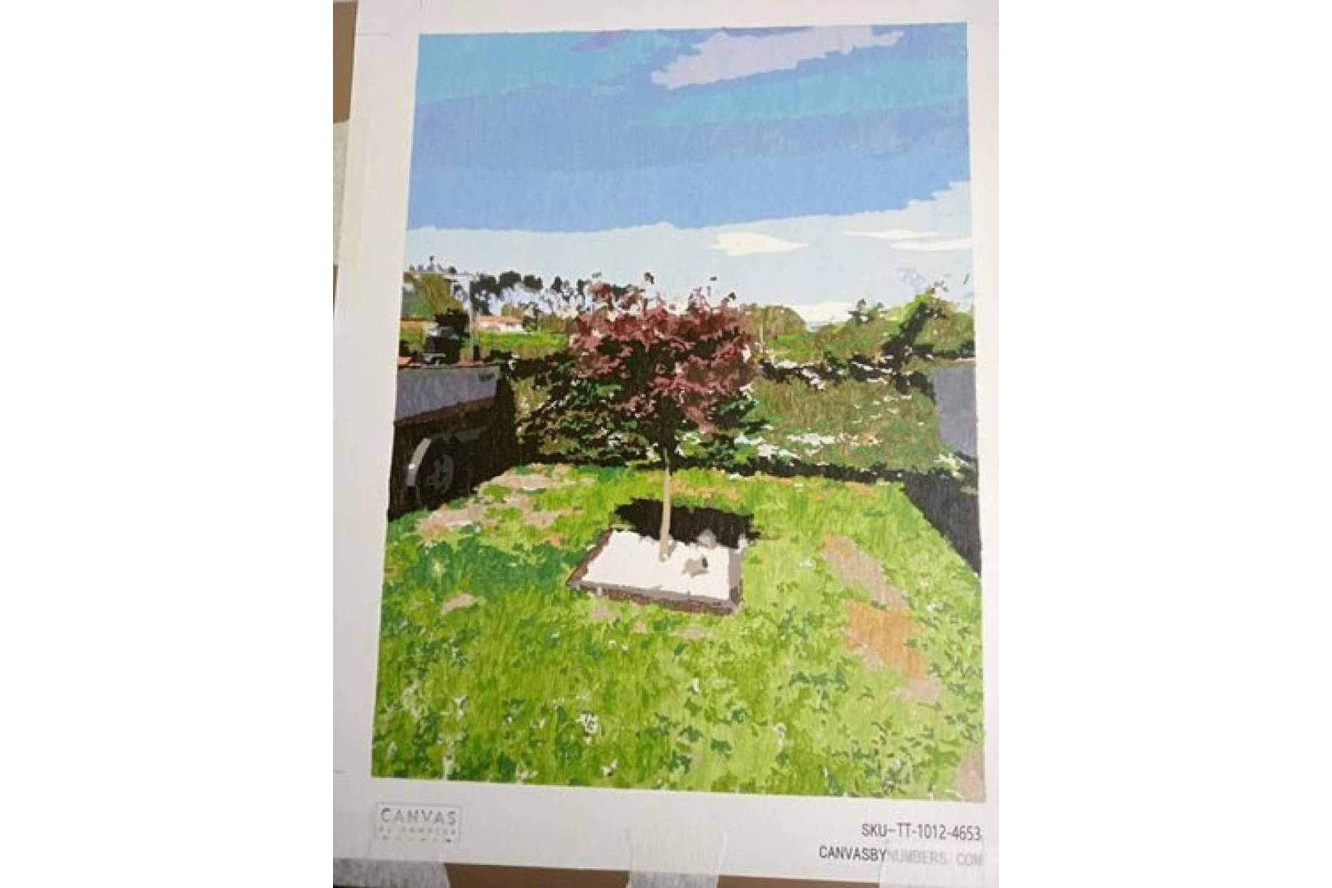 Pintar como los grandes artistas gracias a Canvas by Numbers