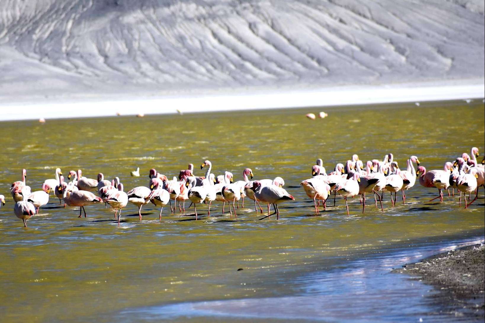 ¿Cómo descubrir los rincones más impresionantes de Chile? Mayuru Tour
