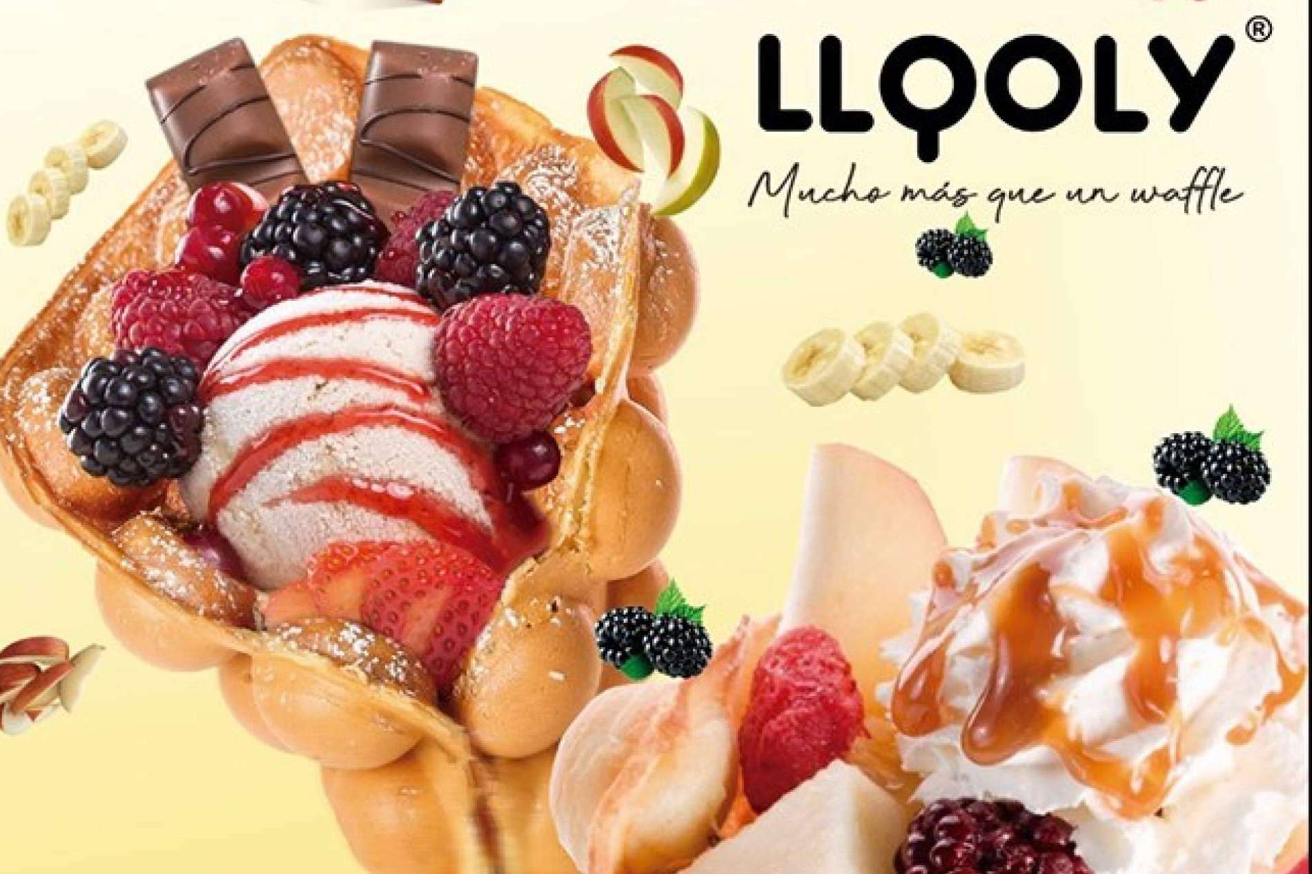 Emprender un negocio con las franquicias Llooly