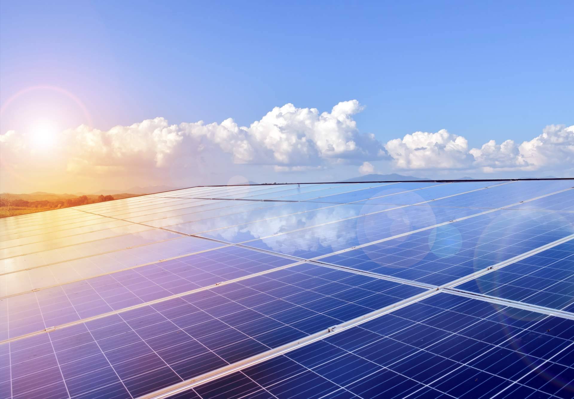 Las ventajas de la instalación de paneles fotovoltaicos en industrias agroalimentarias, con Zerinthia Battery