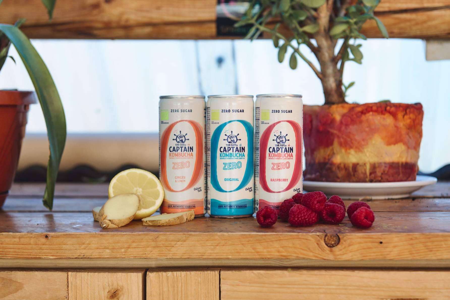 GUTsy Captain lanza Kombucha en lata