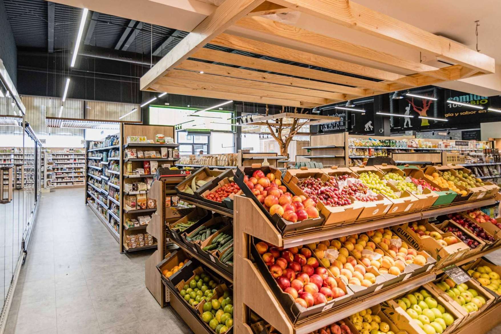 Alimentación en la estación primaveral, verduras y frutas de temporada ecológicas