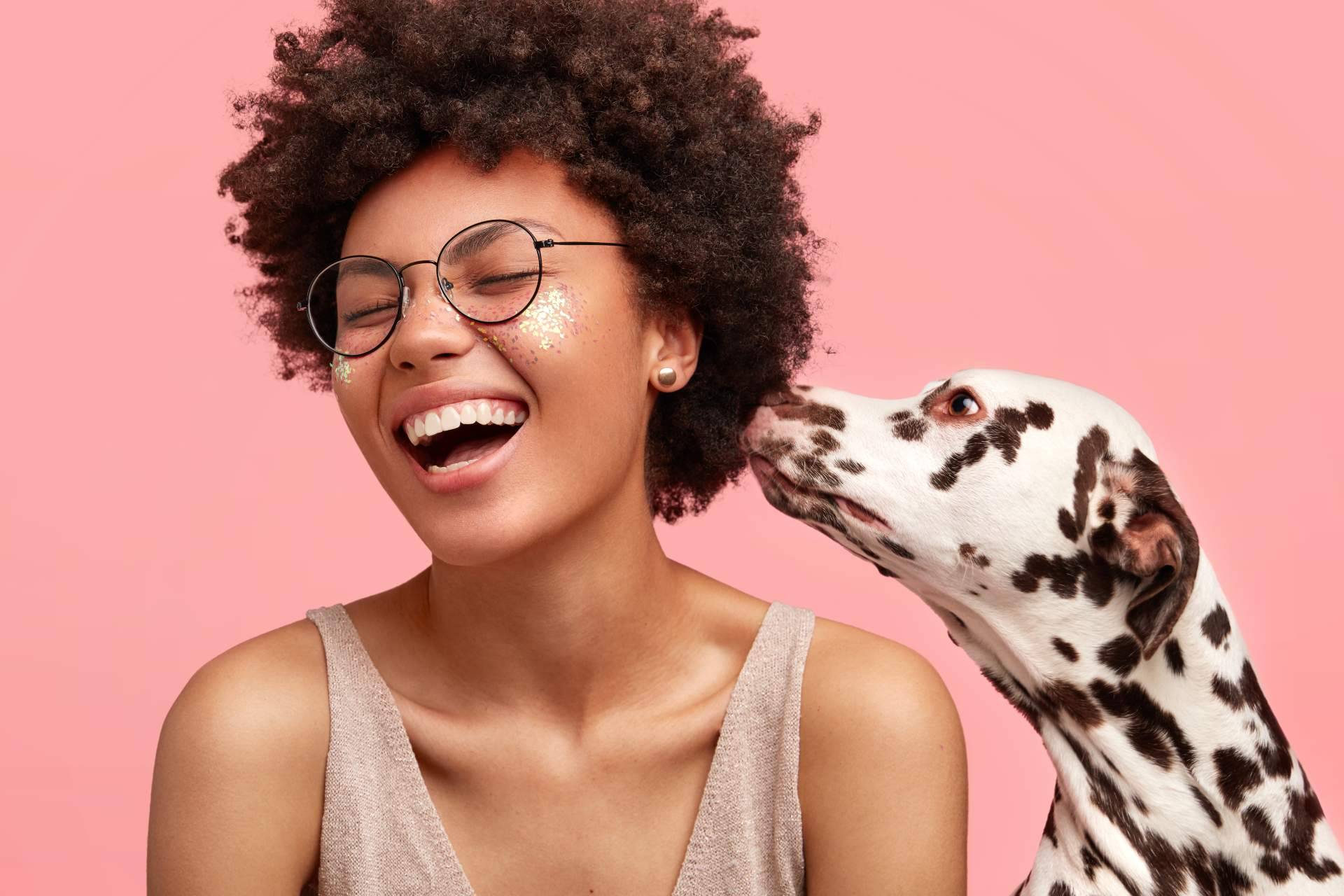 ¿Por qué hay que asegurar a las mascotas y cómo conseguir el cupón descuento de seguros Barbiku?