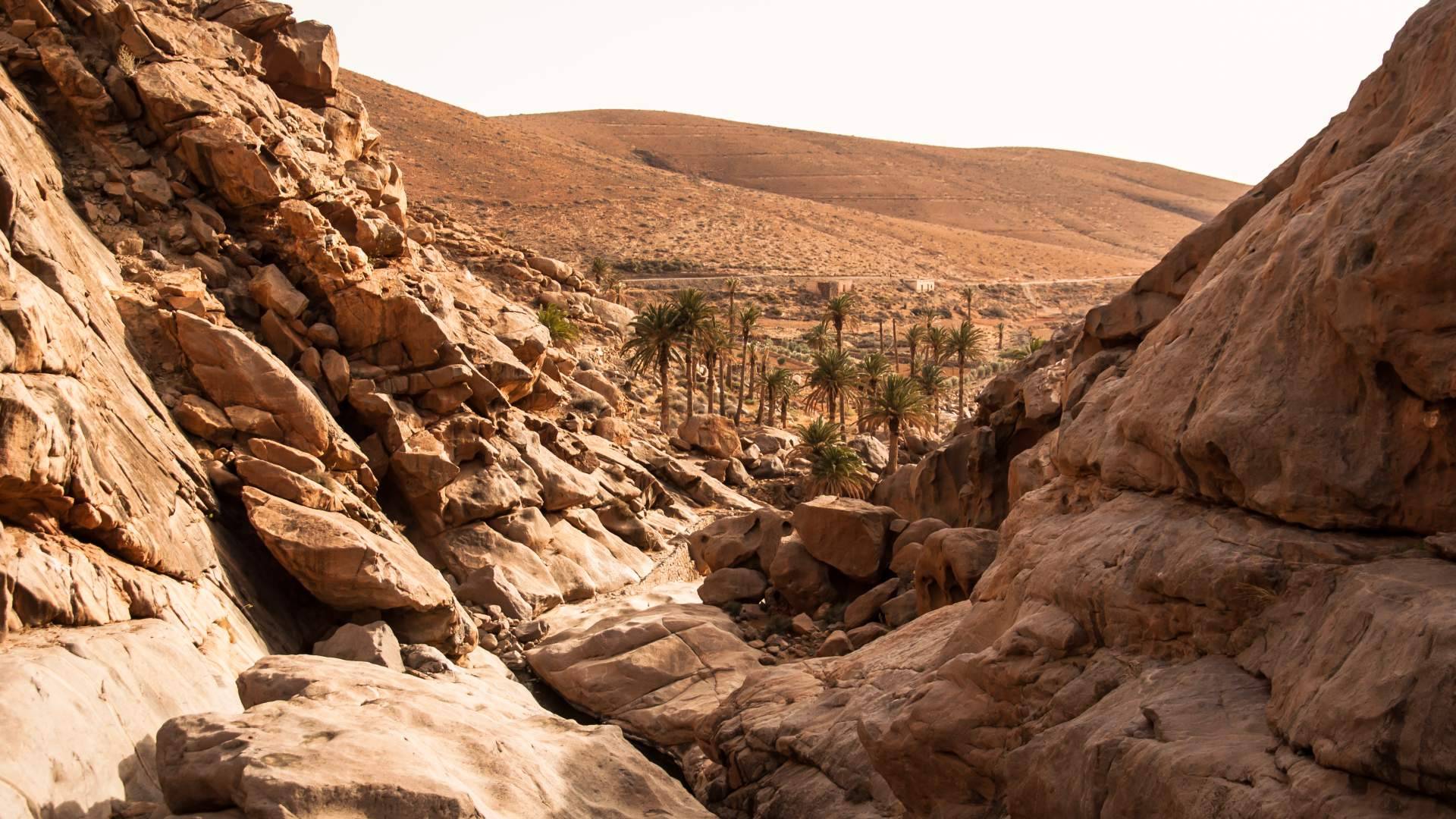 Disfrutar de actividades en Fuerteventura de la mano de Excursión Center Balcón Canario