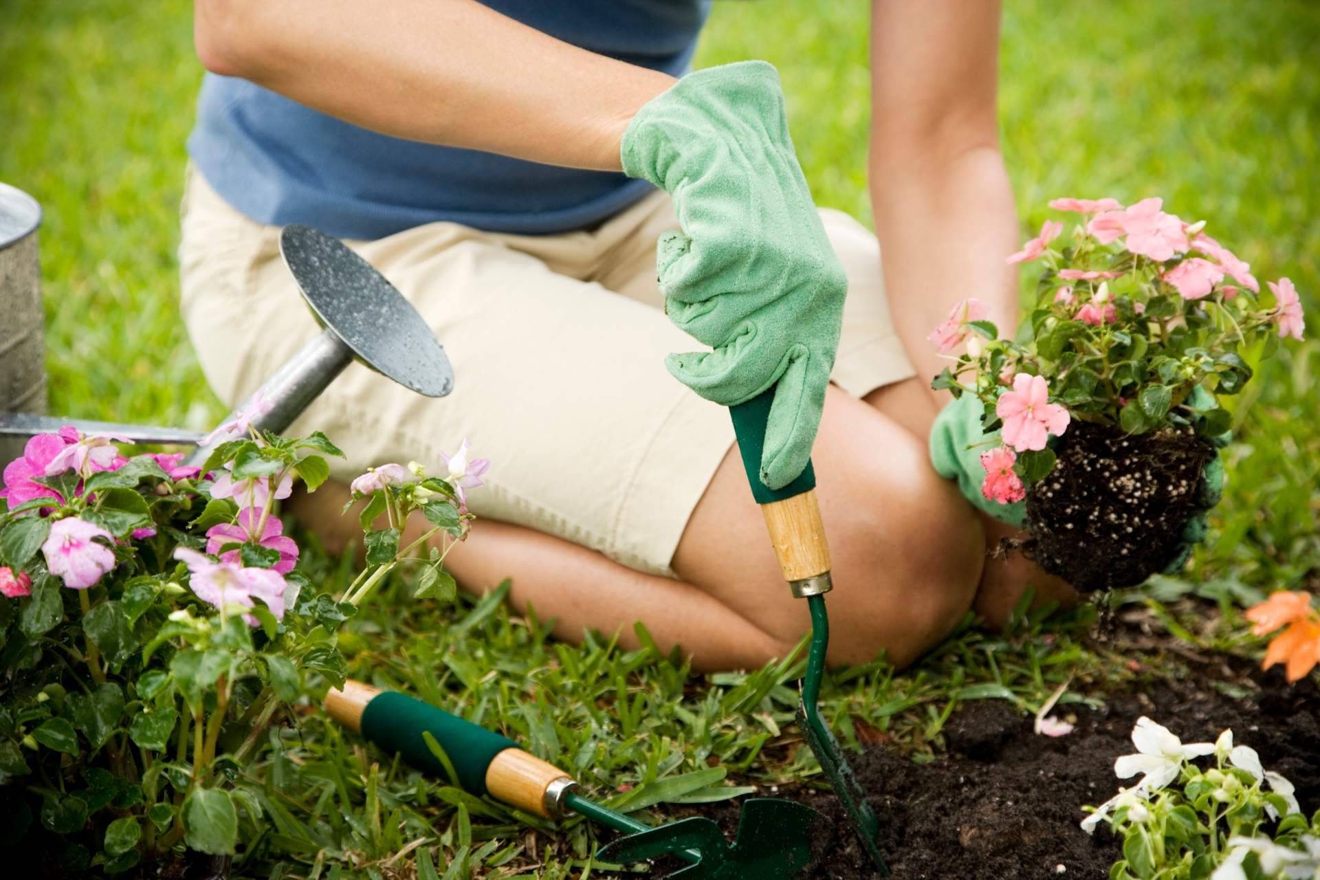 Keroppa ayuda a acondicionar el jardín para este verano