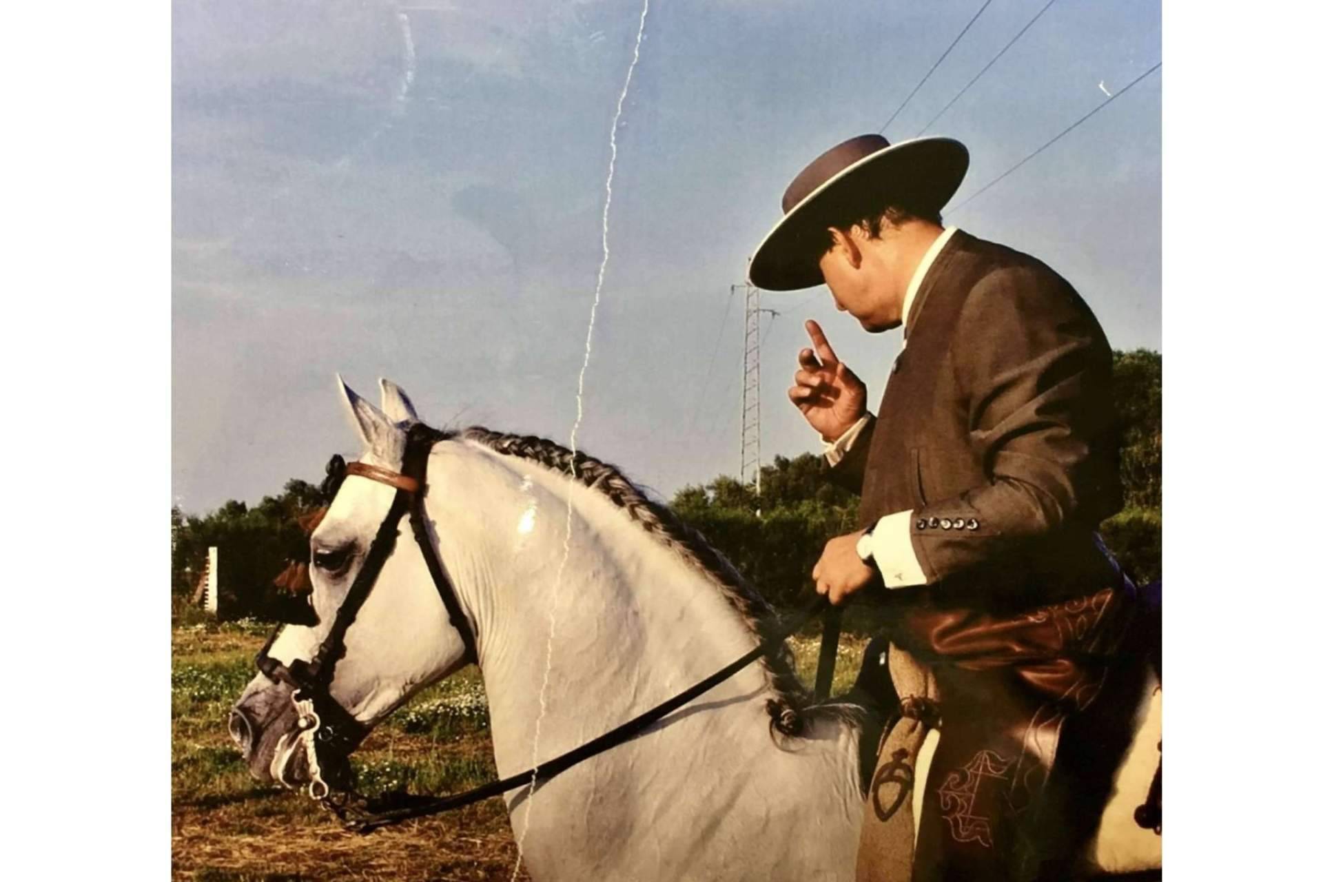 La pasión por los caballos, el proyecto Yeguada Encinasola de Jaime Baselga