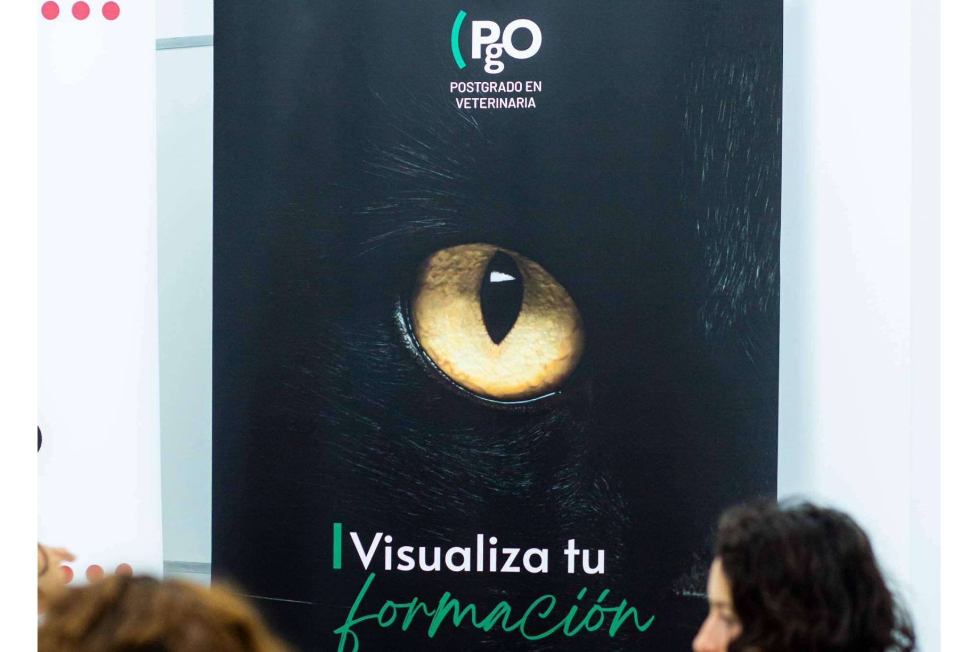 PgO Veterinaria ofrece postgrados caracterizados por la calidad y vanguardia