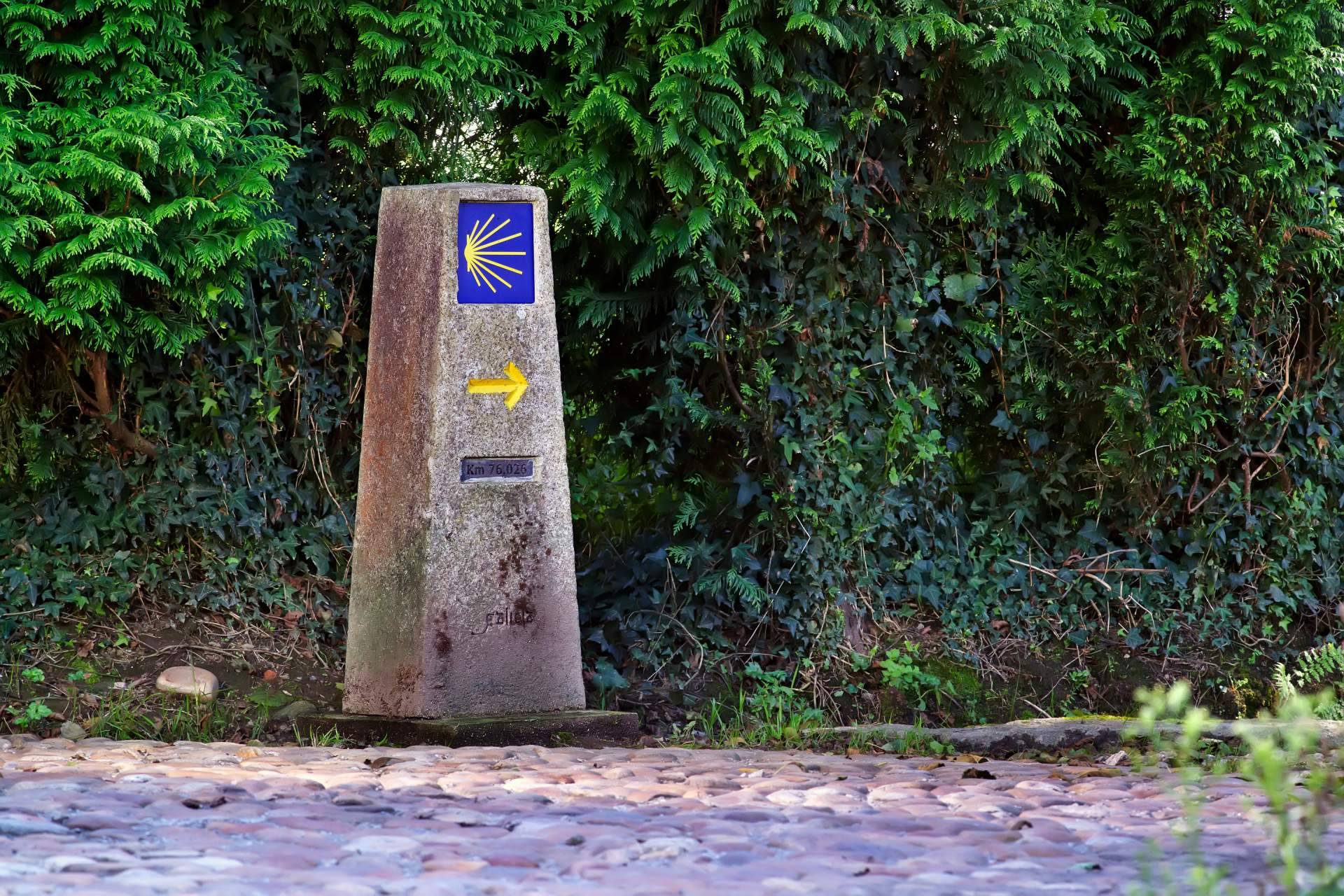 Fundación Disgrup hará el Camino de Santiago en silla de ruedas para reivindicar los derechos de las personas con discapacidad en España