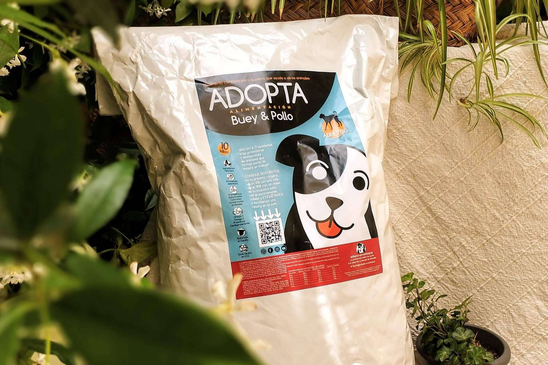 Pienso light de mantenimiento para perros adultos, el alimento ideal para cualquier perro
