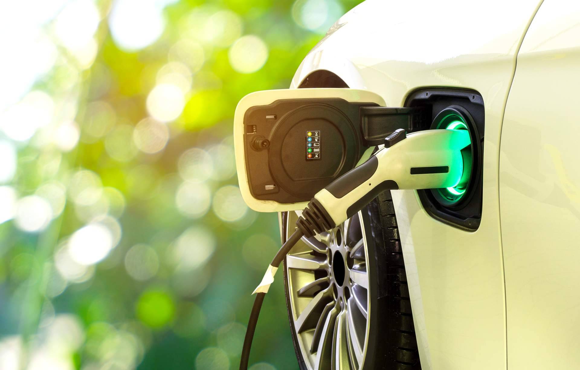 Una plataforma de conexión; Multienergía Verde facilita la integración de placas solares y puntos de carga de vehículo eléctrico para sus clientes