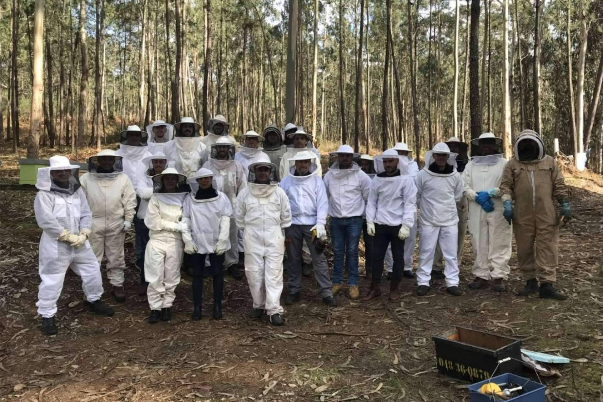 Los beneficios de la apiterapia con apitoxina, con Cursos Apicultura