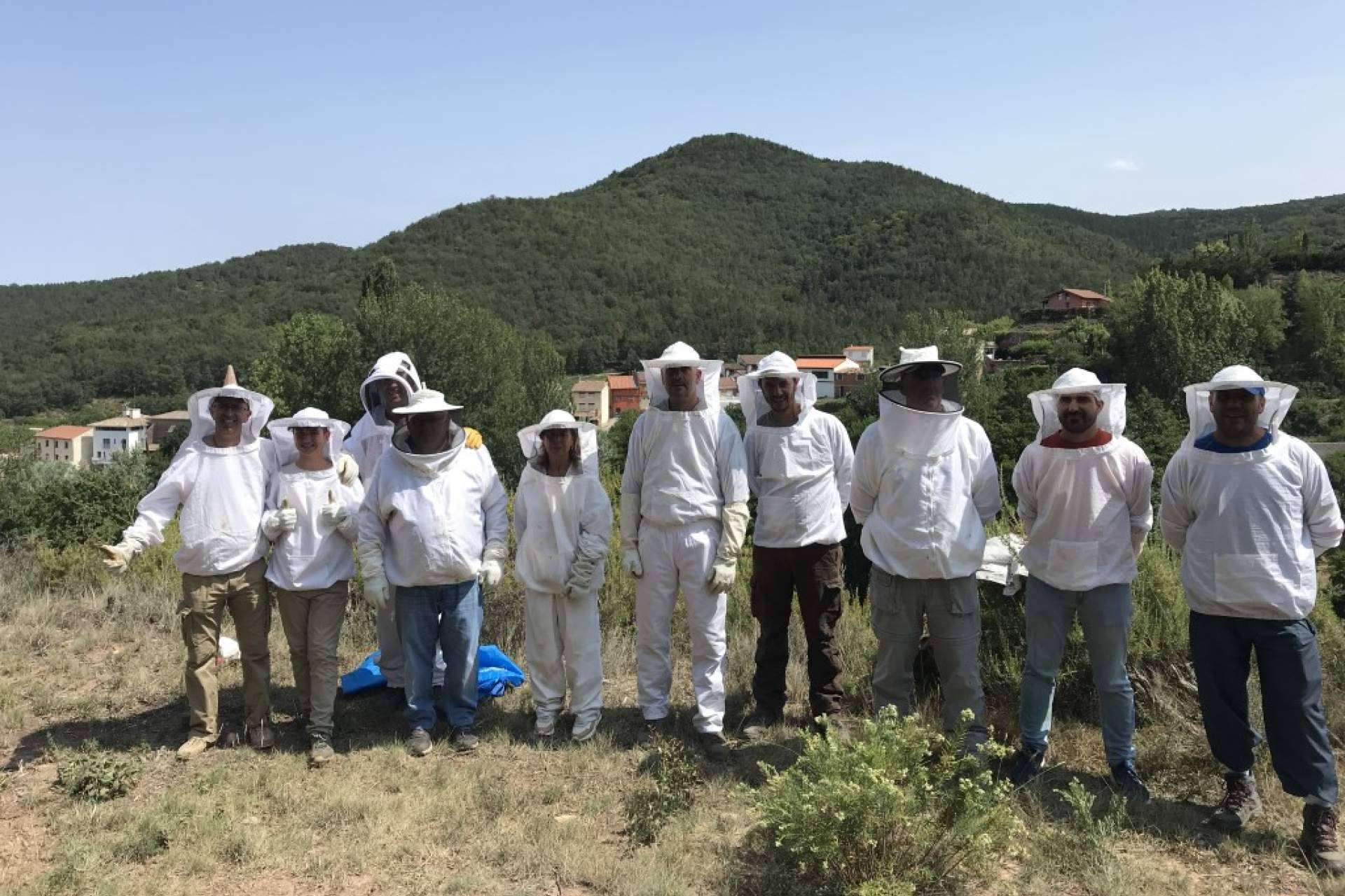 Adentrarse en el mundo de las abejas con las diferentes formaciones de Cursos Apicultura