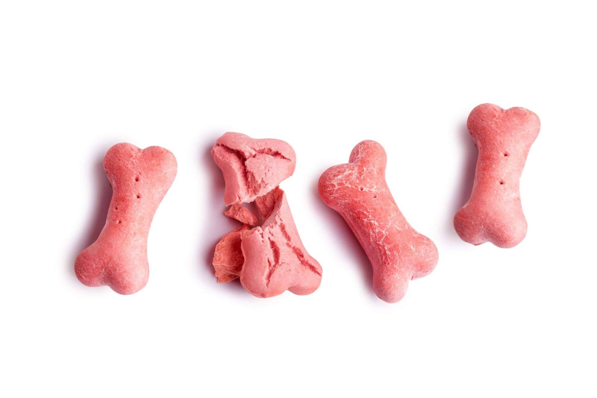 Can Xana dispone de un amplio catálogo de snacks para perros y gatos