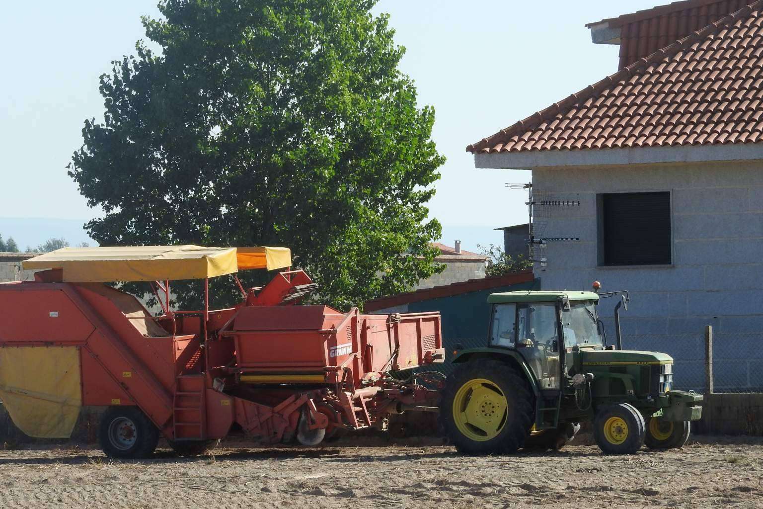 Producción y distribución de patatas gallegas, con Patatas Yago