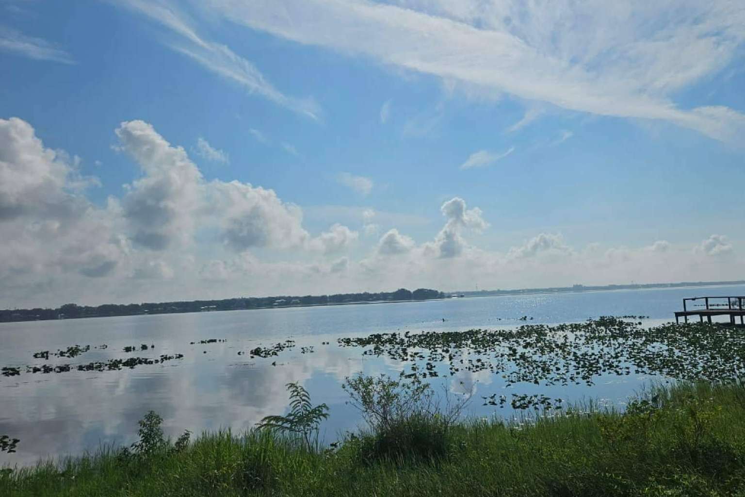 Tips a considerar antes de invertir en terreno en Florida, por Vista Imark