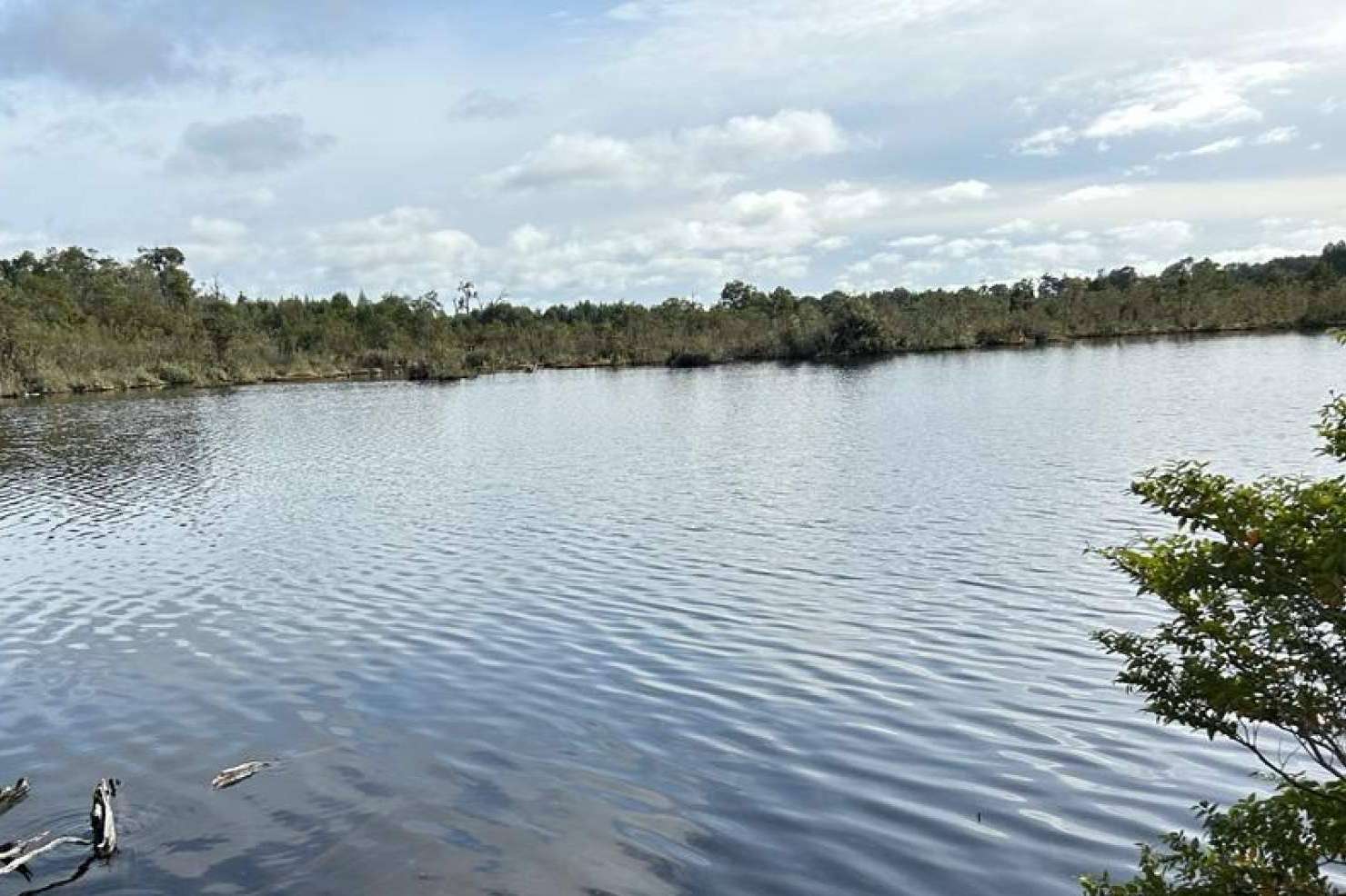 Los proyectos de parcelas de Latitudes Australes que permiten disfrutar la tranquilidad y la belleza de Chiloé