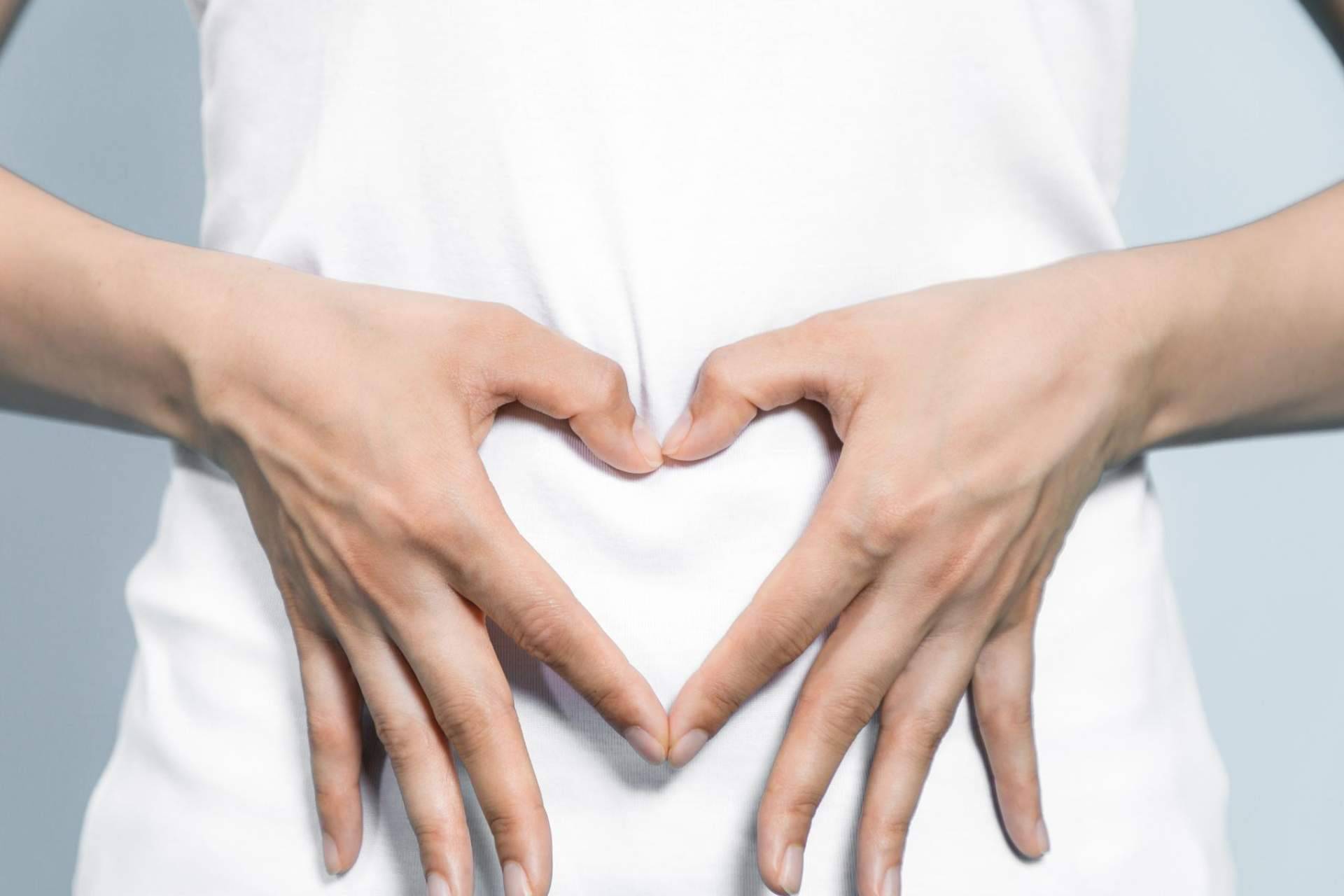 Cuidar la flora intestinal de la mano de los probióticos de Bibefy