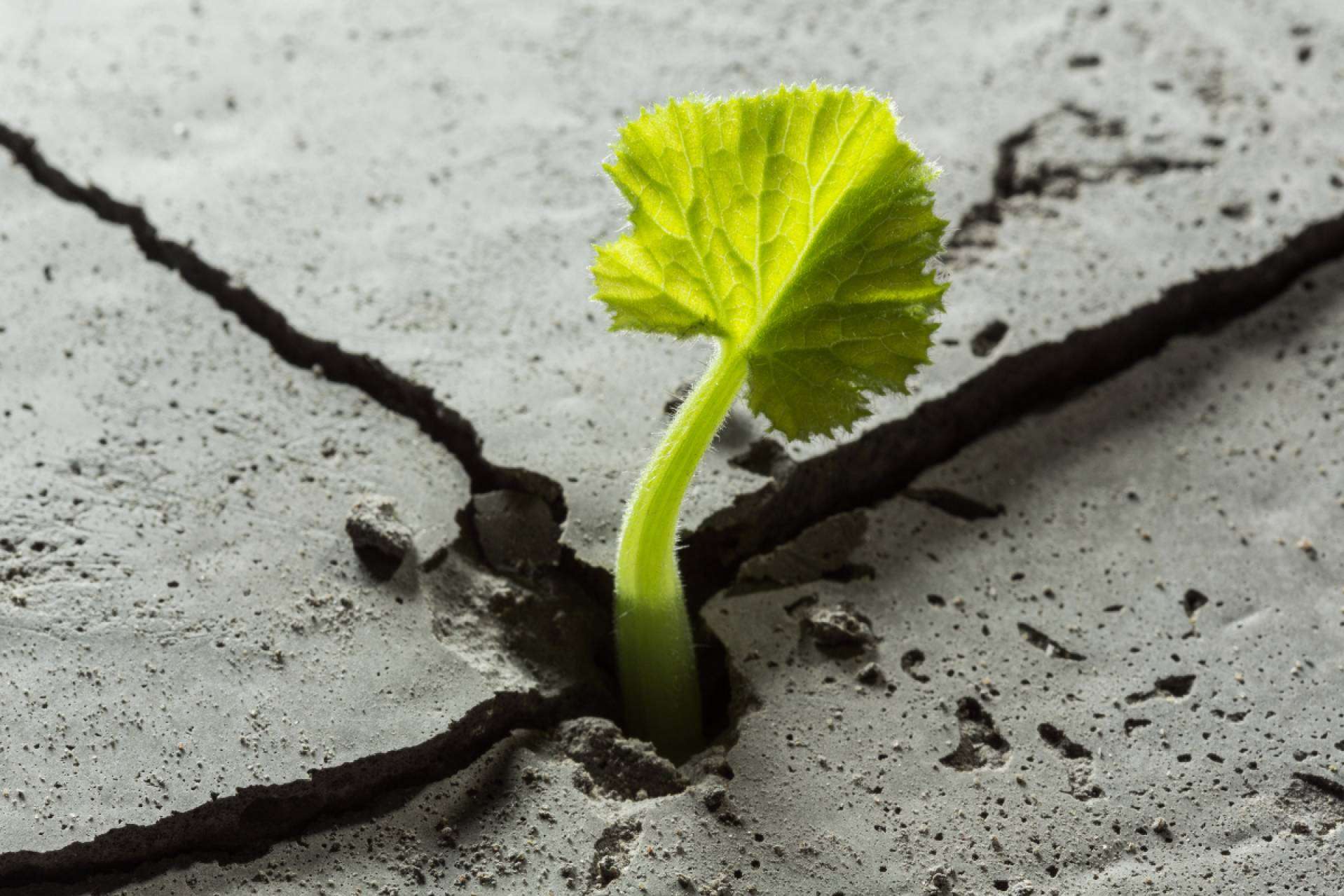 Sentirme Mejor explica qué es la resiliencia