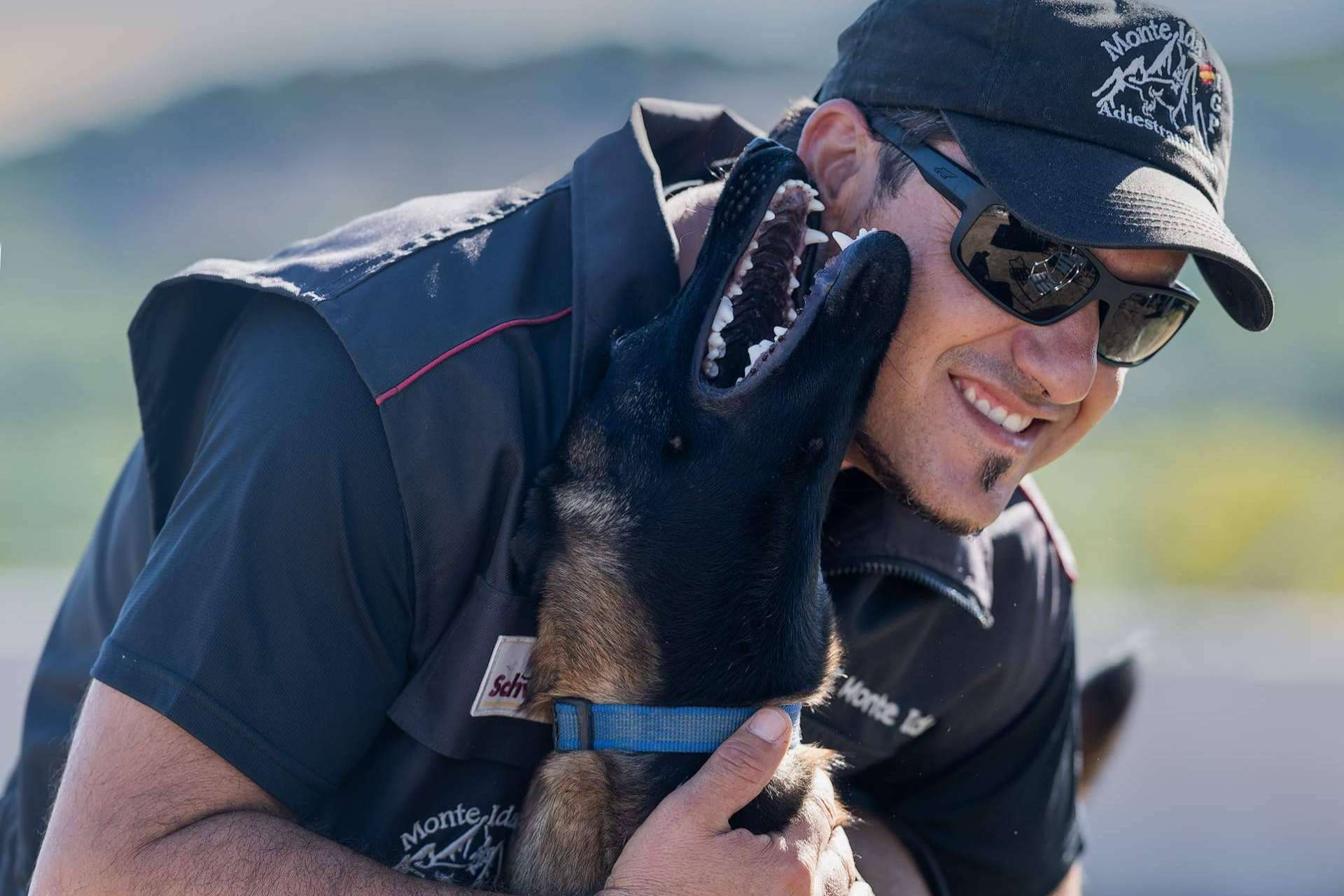 En pleno auge se encuentra la profesión de éxito de adiestrador canino
