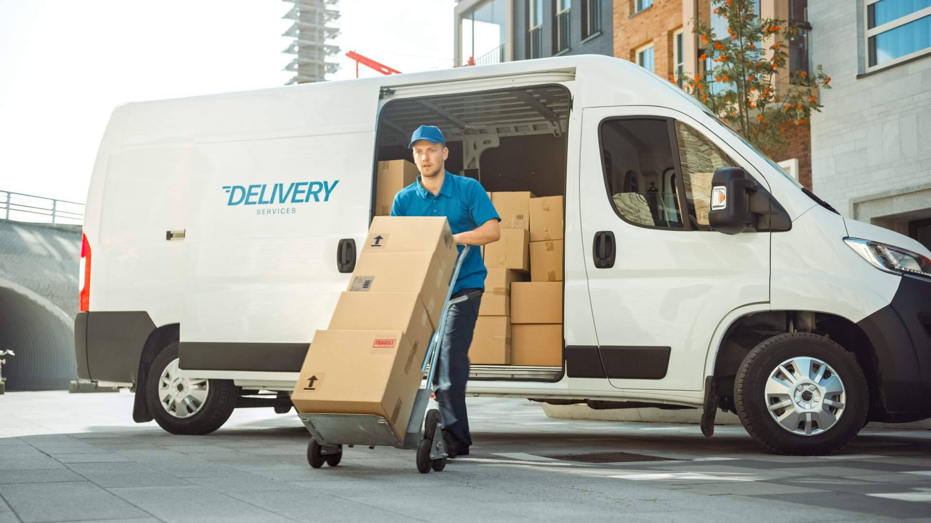 Cómo elegir furgonetas de trabajo, con M10Selection