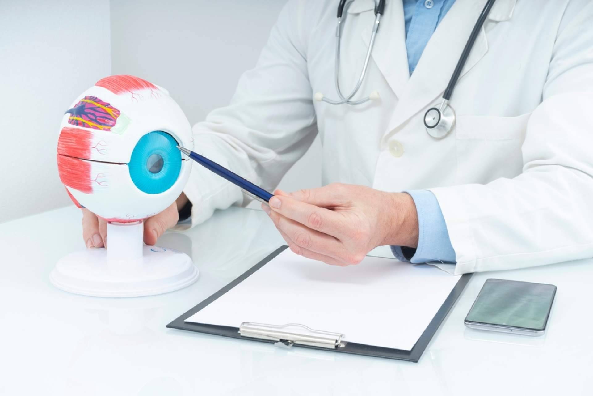 El problema de moscas volantes, tratado en el Departamento de Oftalmología del Hospital Universitario Dexeus