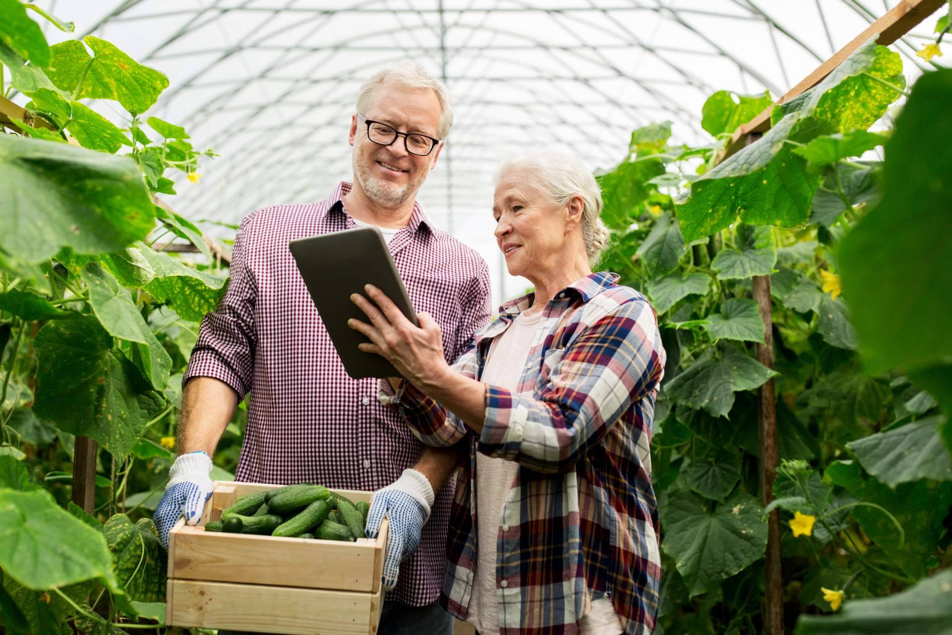 Certitec ayuda a gestionar los cuadernos de campo y la trazabilidad de la producción