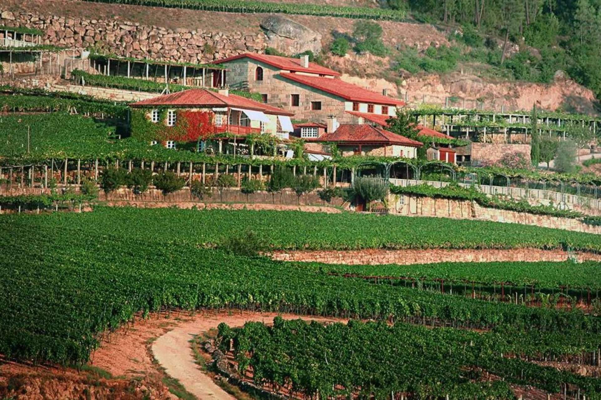 Difersa & Primavinia nuevo distribuidor de A Vilerma (D.O. Ribeiro) tras la compra de la bodega por el grupo Jose Pariente
