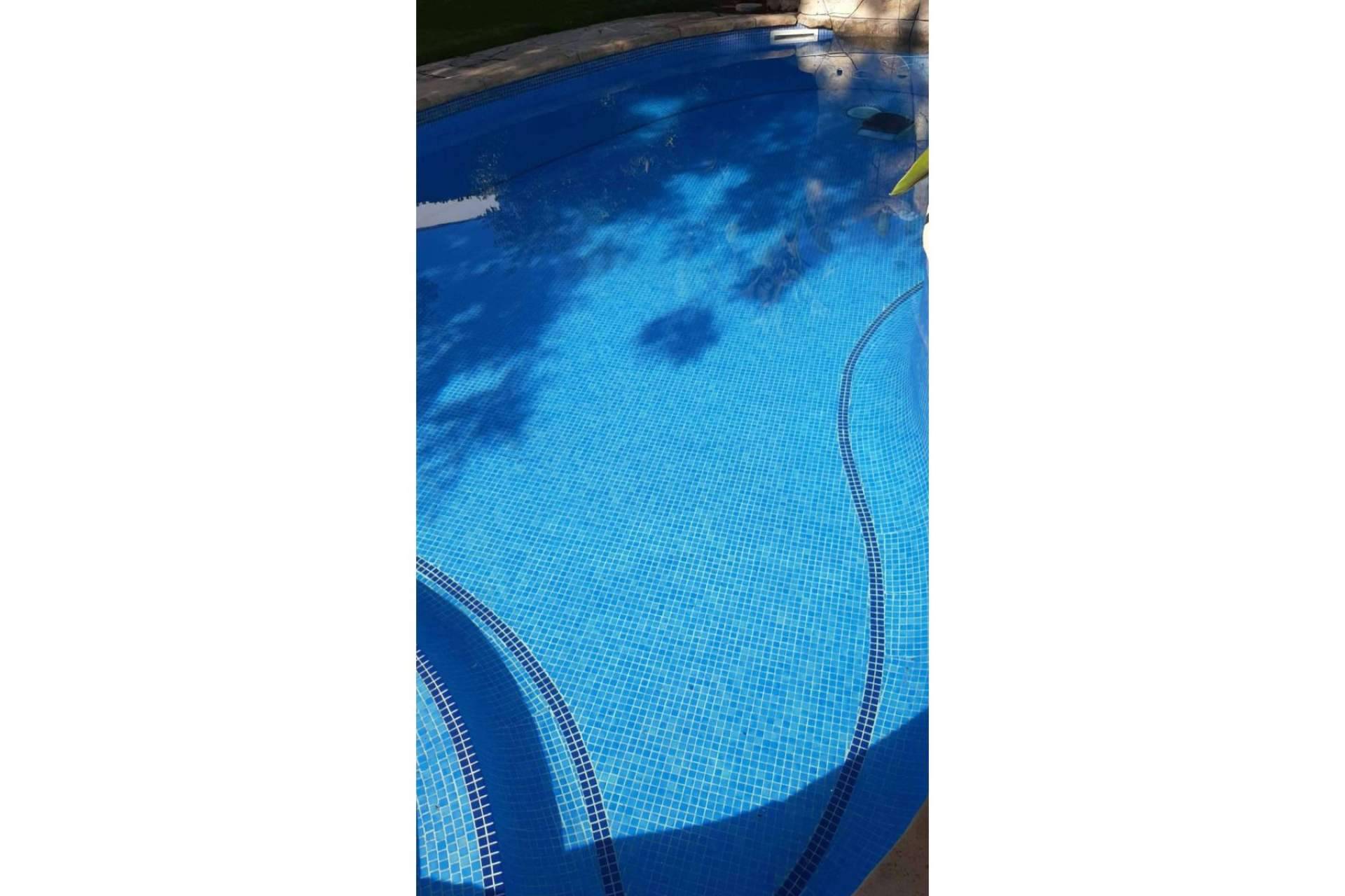 Un aliado en tiempos de sequía, Pool Tiger