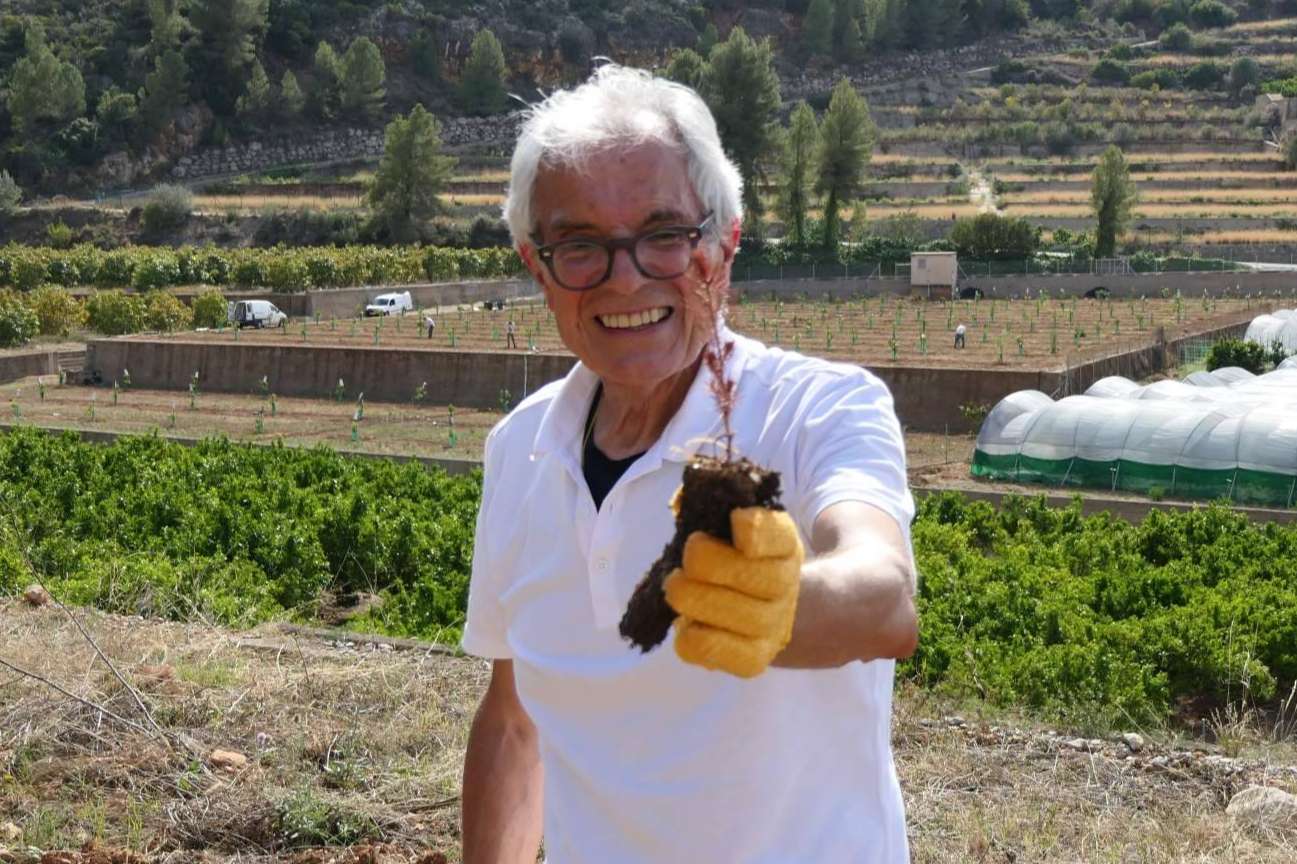 El 9º bosque del programa 'Juega tu papel' llega a Alicante