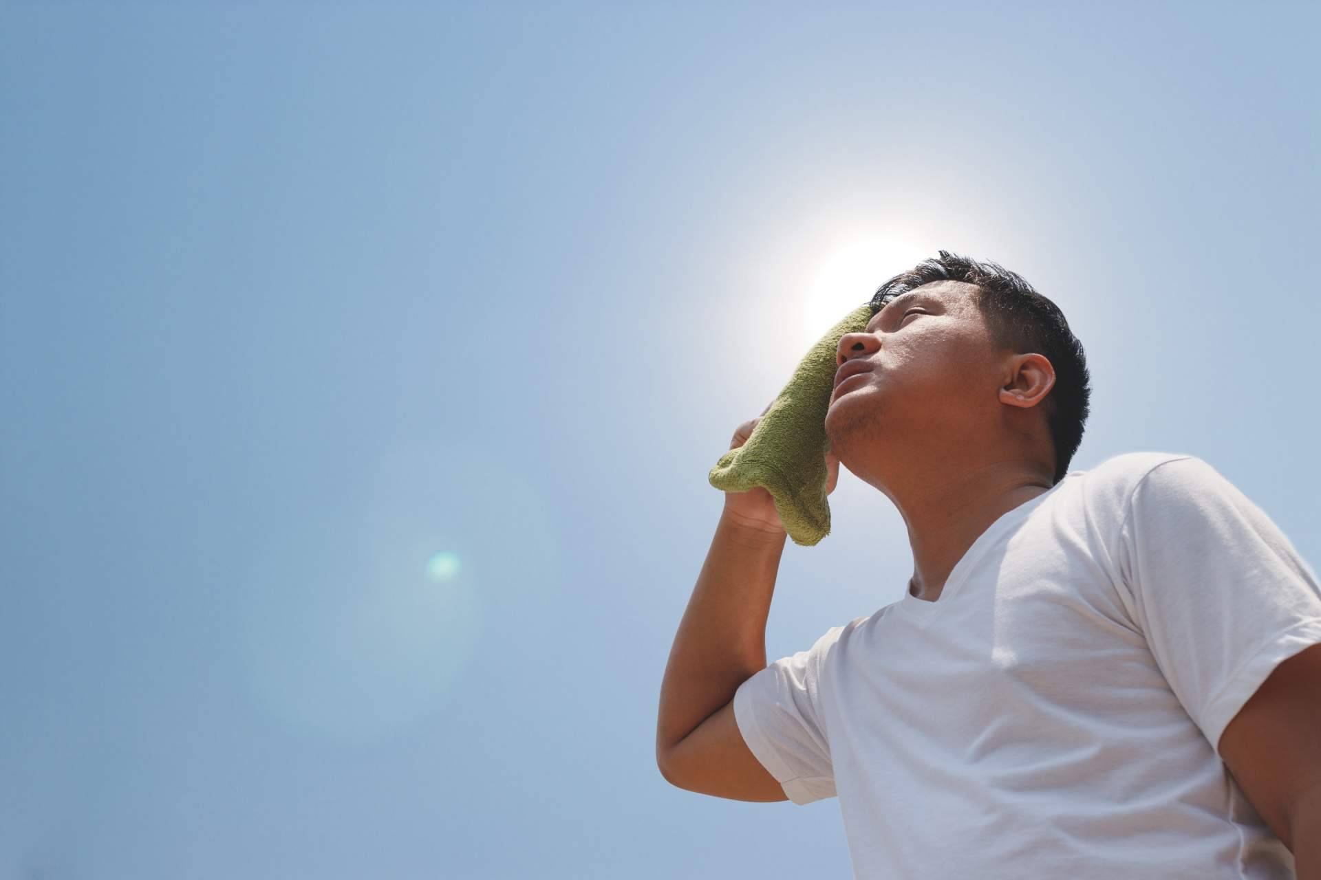 Ahorrar en la factura de luz, la guía práctica de Multienergía para el hogar
