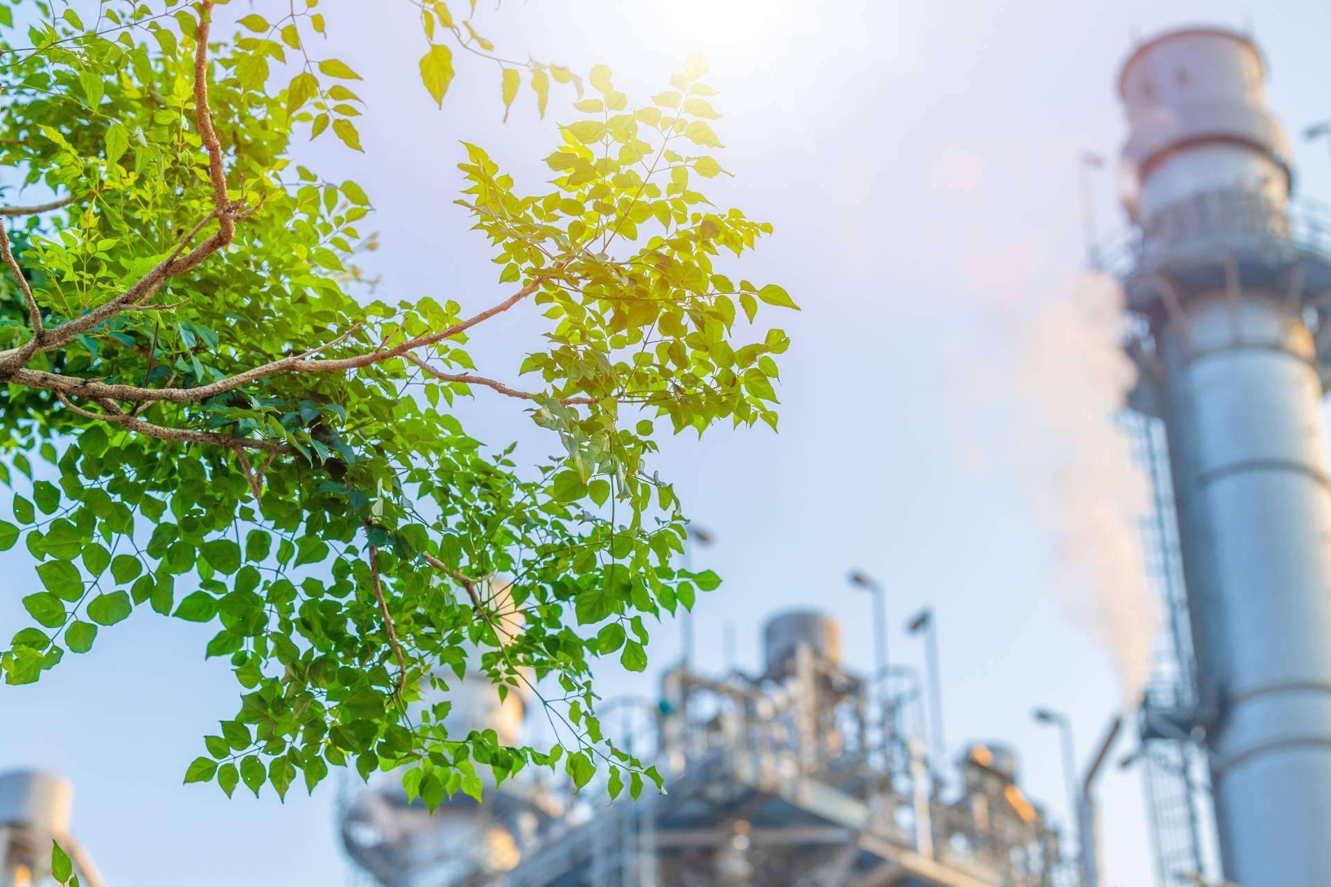 Conseguir el triple sello del MITERD en huella de carbono, rápido, fácil y con garantías