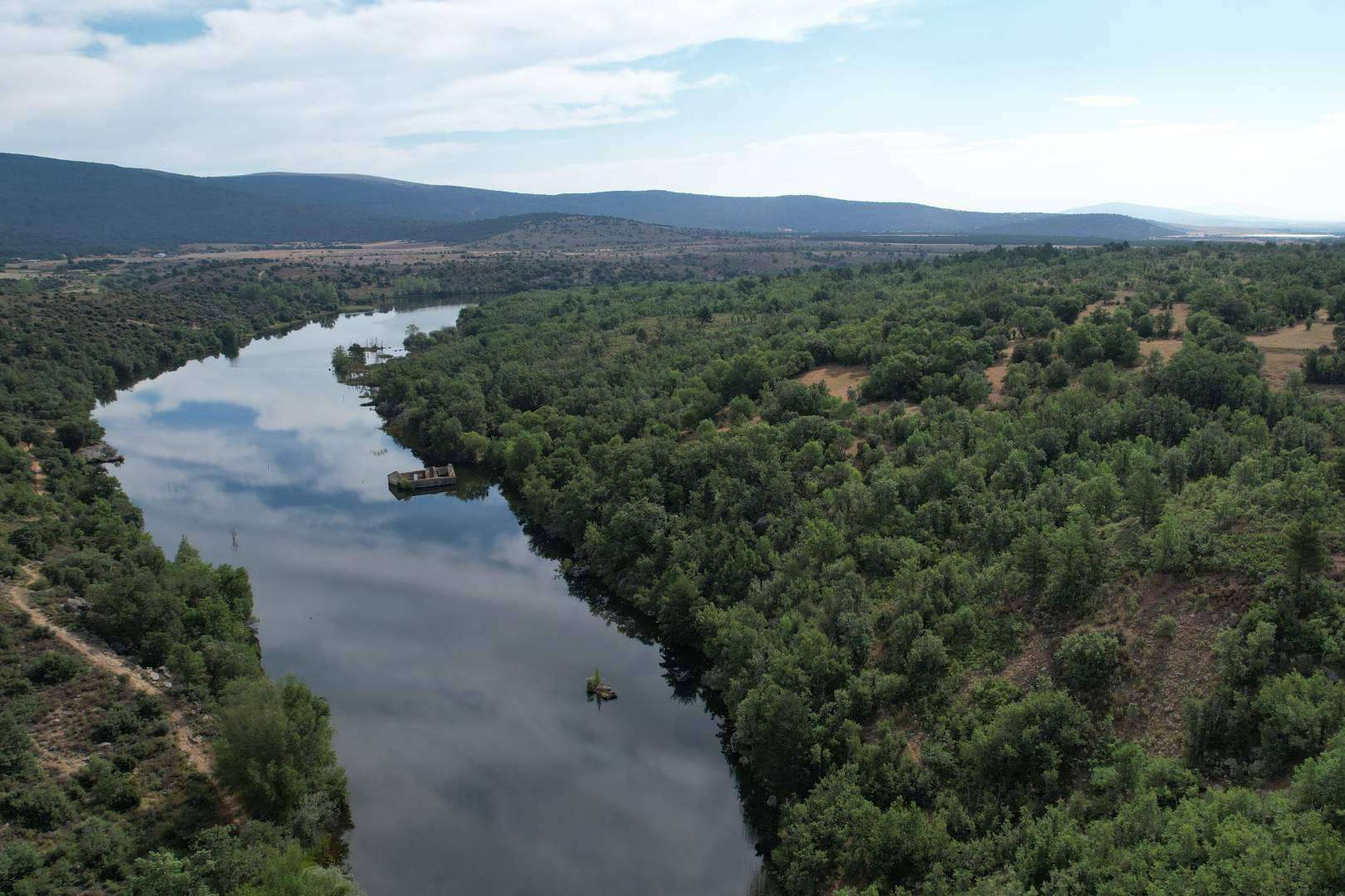 CO₂ Gestión ofrece servicio especializado para calcular huella de carbono, registrarla y compensarla en el MITERD