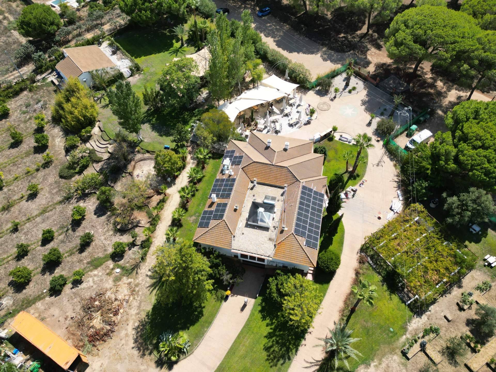 Soluciones en energía renovable para un planeta verde