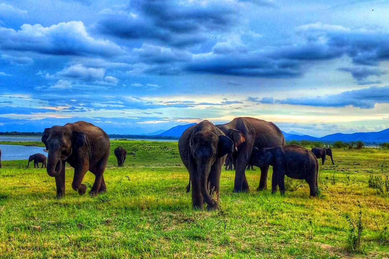 Explorar Sri Lanka en 2024 con la agencia local Viajes Eden