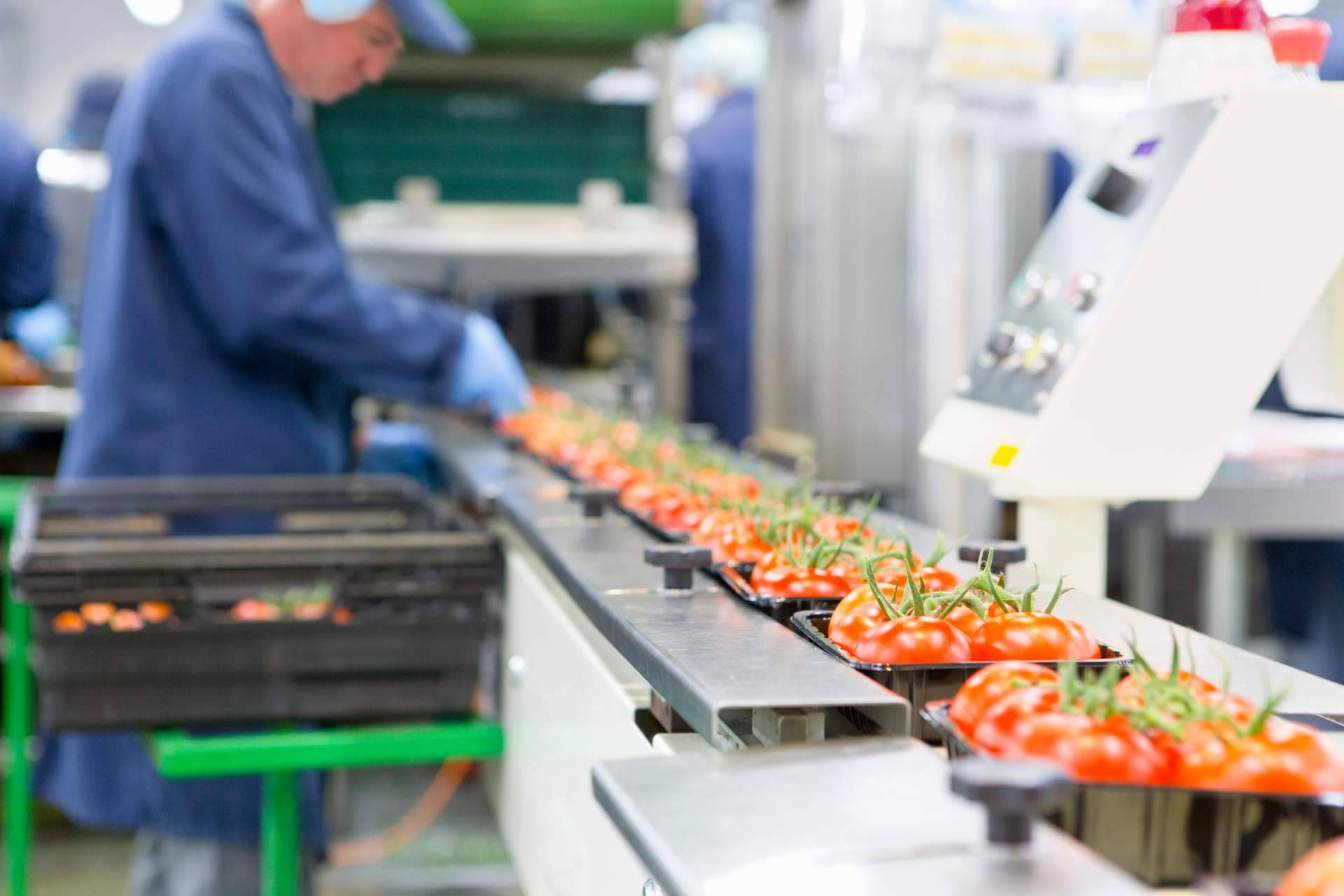 Normas GFSI para garantizar un mayor nivel de calidad y seguridad en la industria alimentaria, por Ingade