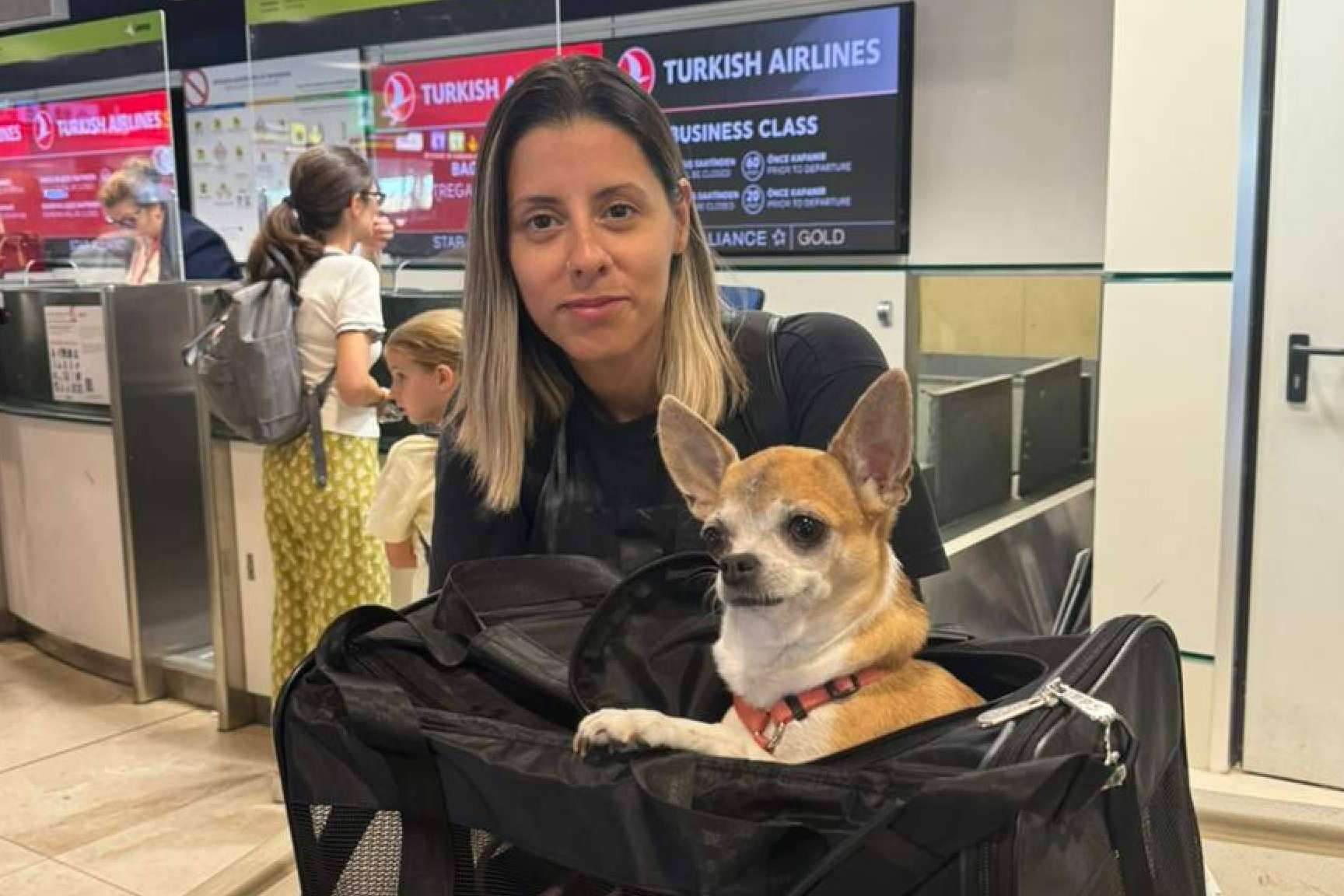 Pet World Travel se especializa en el traslado de mascotas en España, Europa, Estados Unidos y Latinoamérica