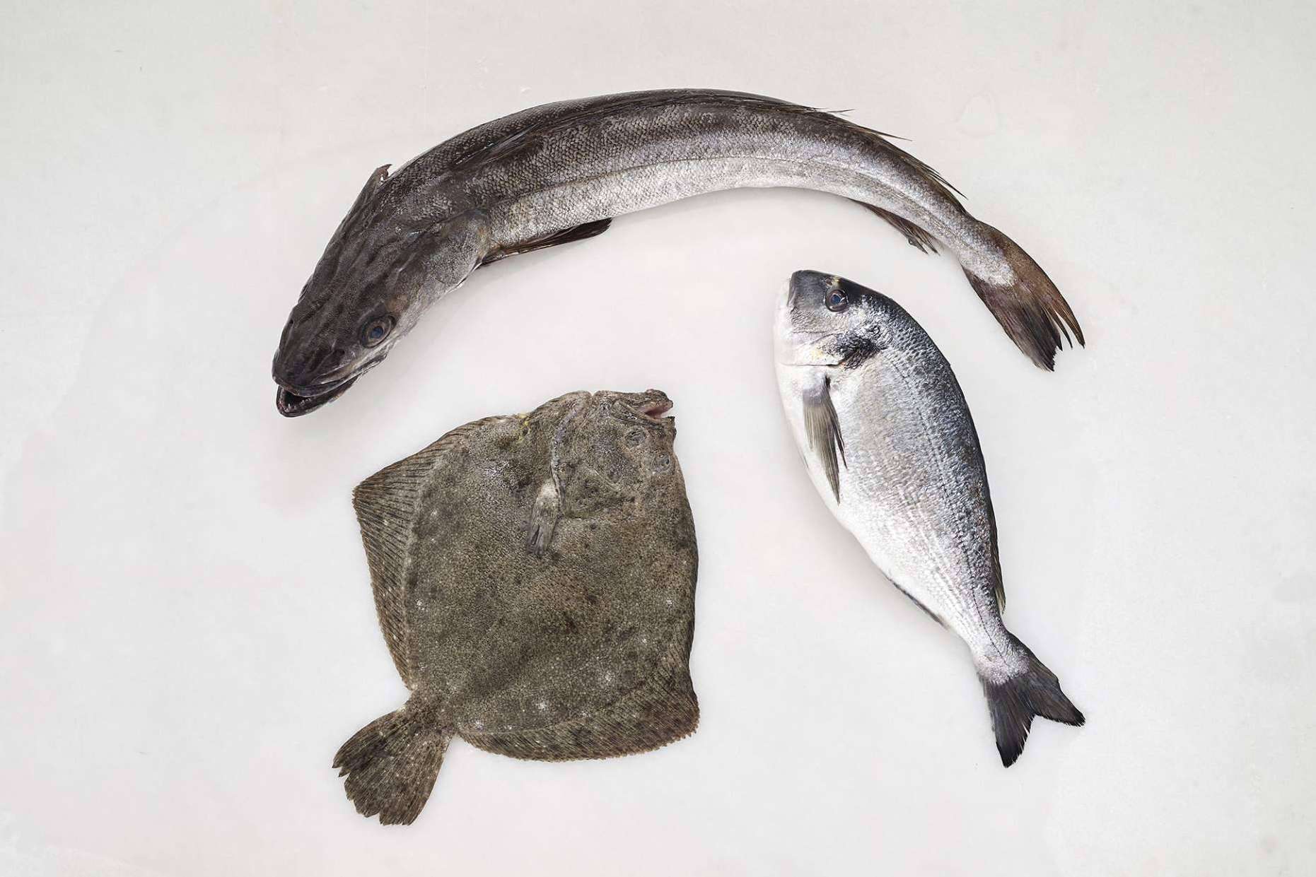 El pescado blanco, una de las mejores elecciones para volver a la rutina saludable tras las vacaciones