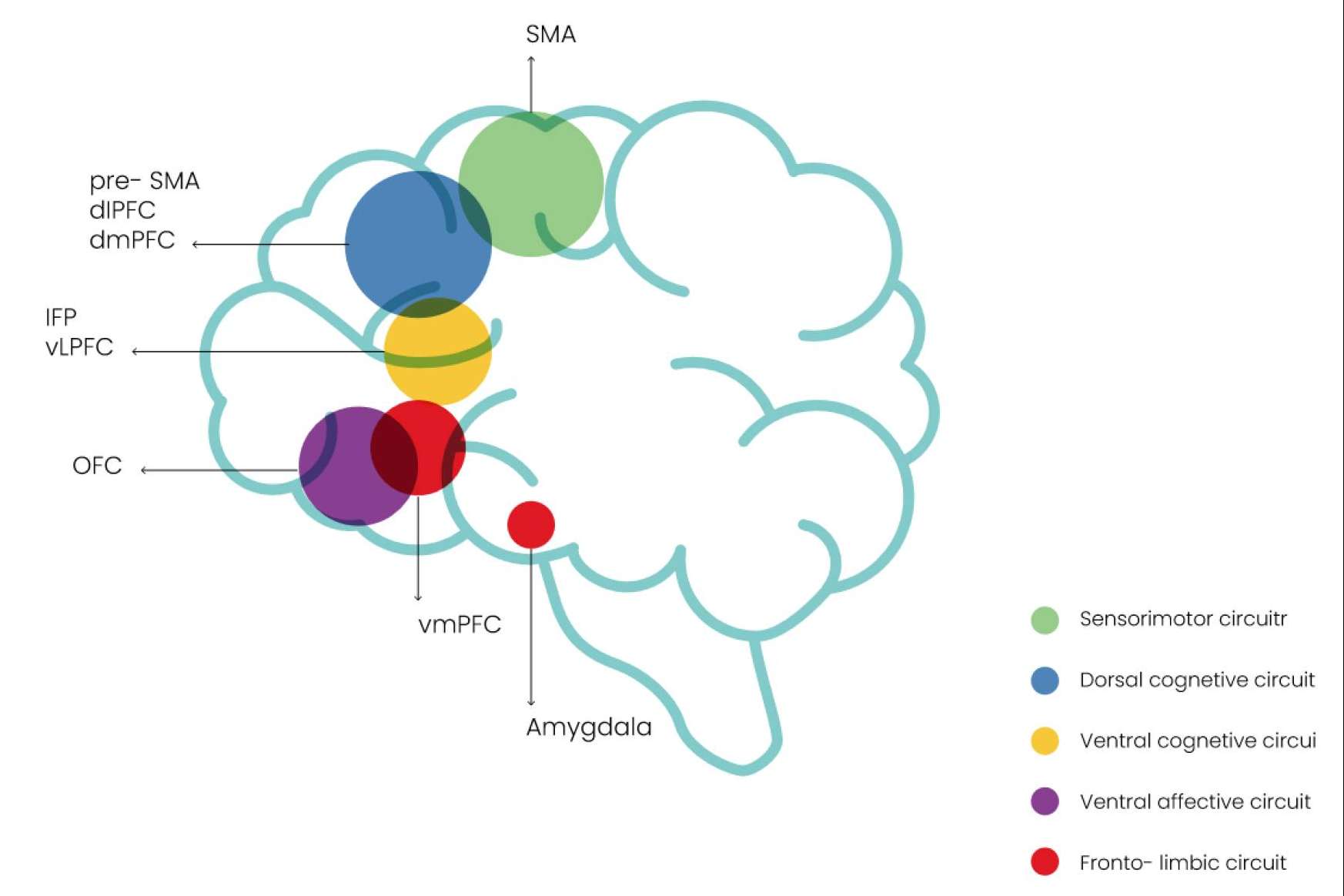 Unidad de neuromodulación de Clínica MHS y su innovador método de estimulación magnética contra el dolor crónico