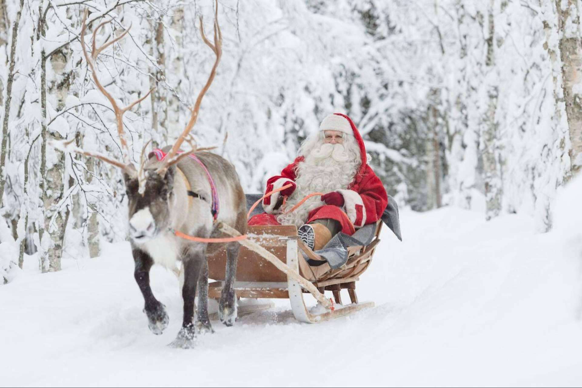 La Navidad en Salla es uno de los viajes más populares de Visita Laponia