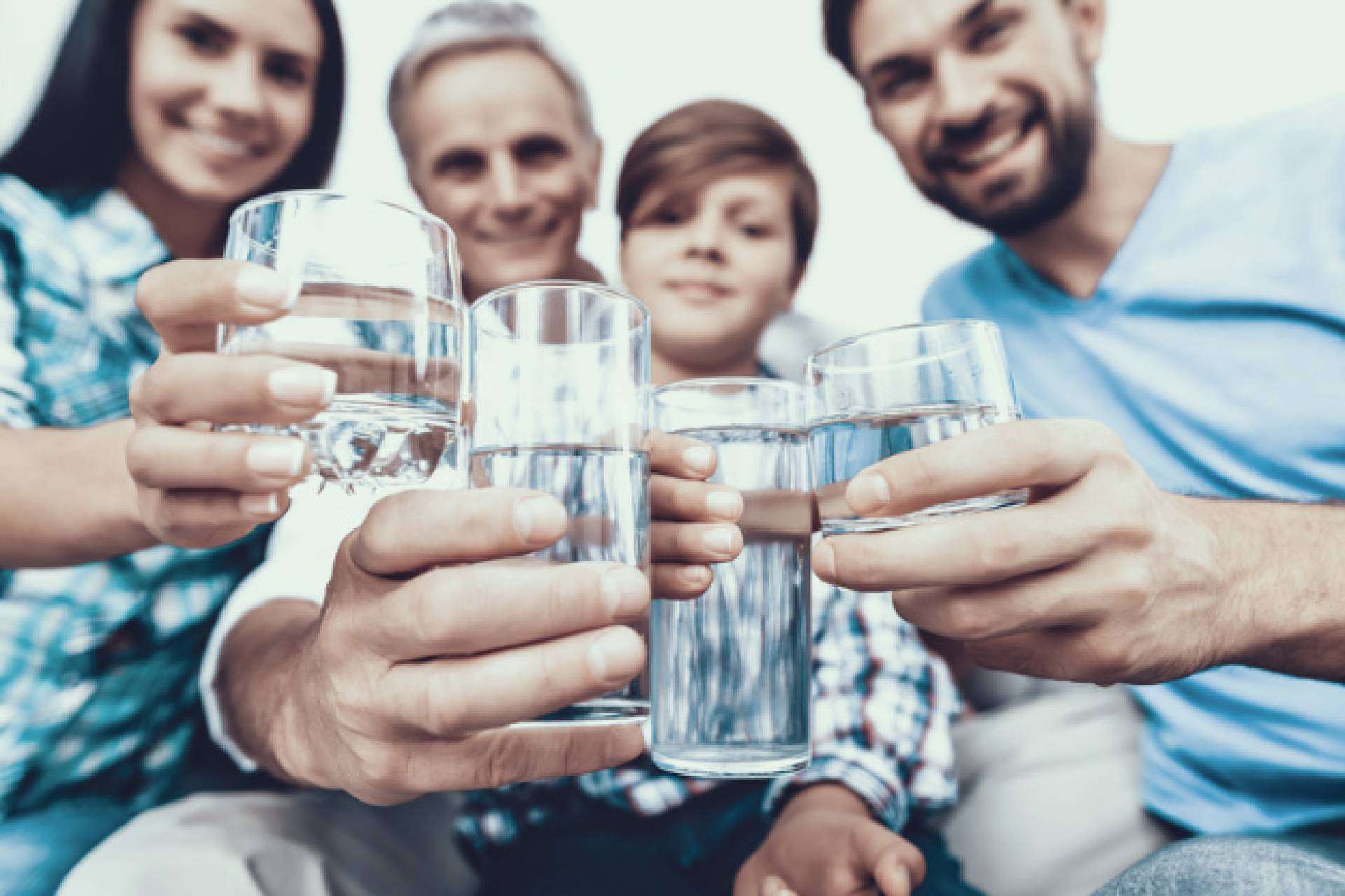 Setasa, Distribuidor lider en productos Cintropur en España