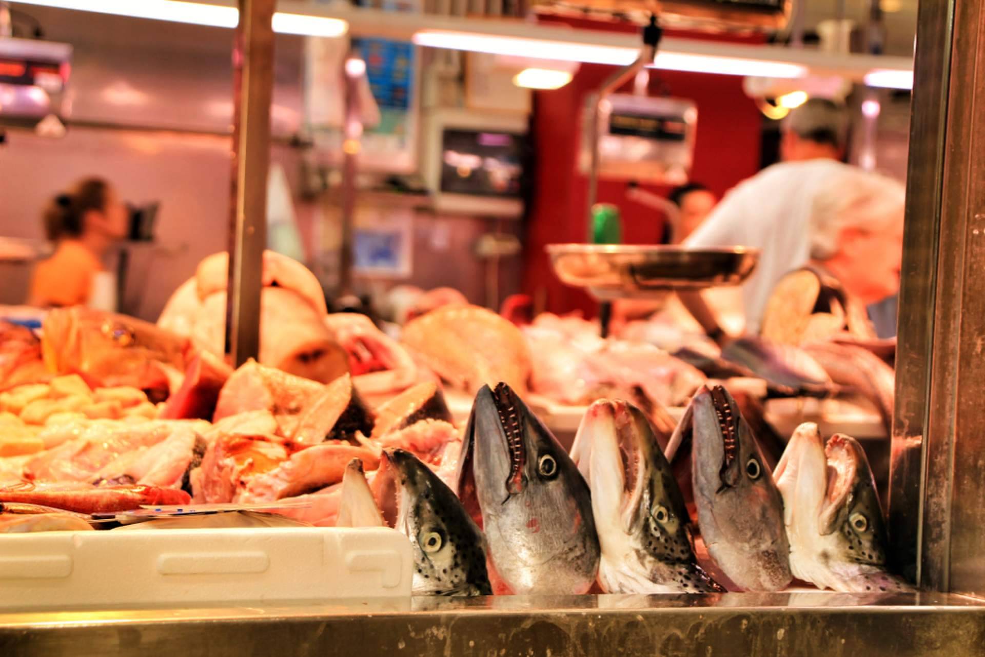 Frescura y calidad garantizada en cada producto del mar en Pescadería Younes Ceuta