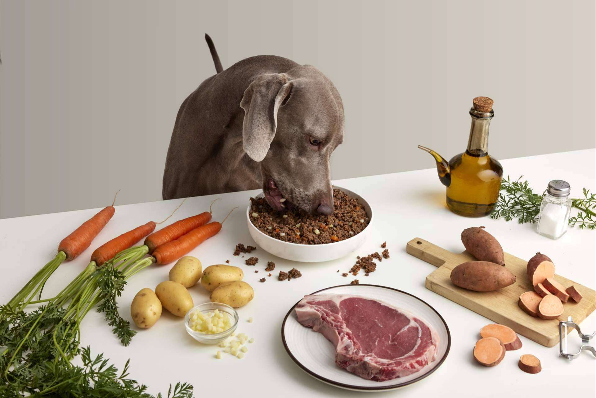 Dogfy Diet revoluciona el mercado de la comida natural para perros en España