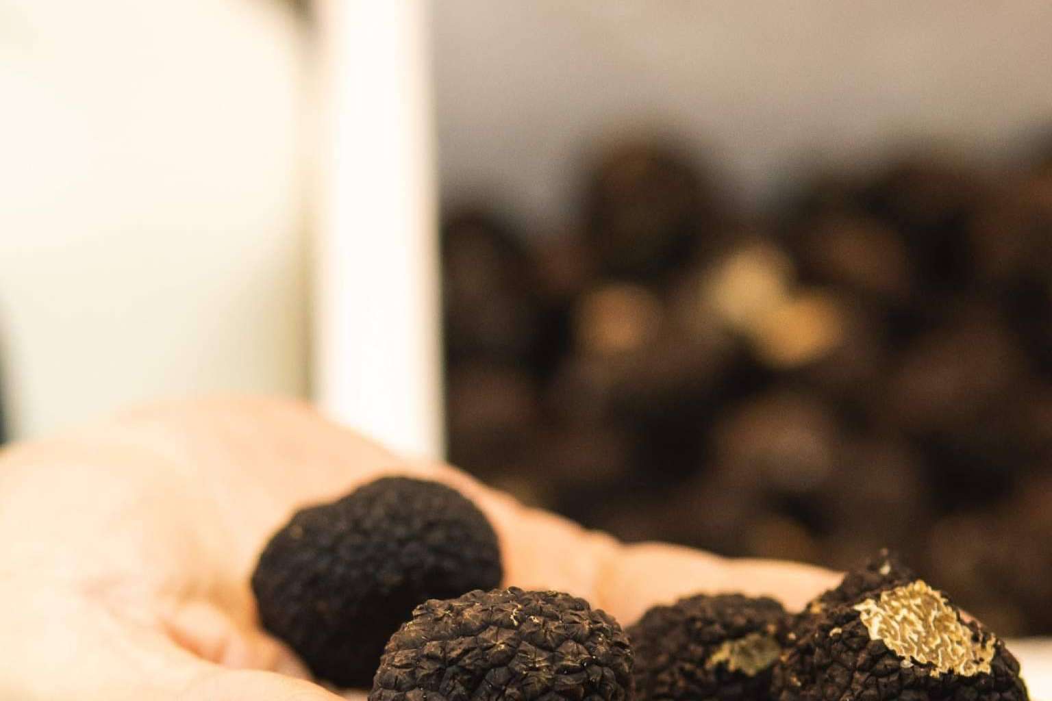 Valle Trufa lleva su esencia gourmet a los Christmas Market de Puerto Portals y Pueblo Español