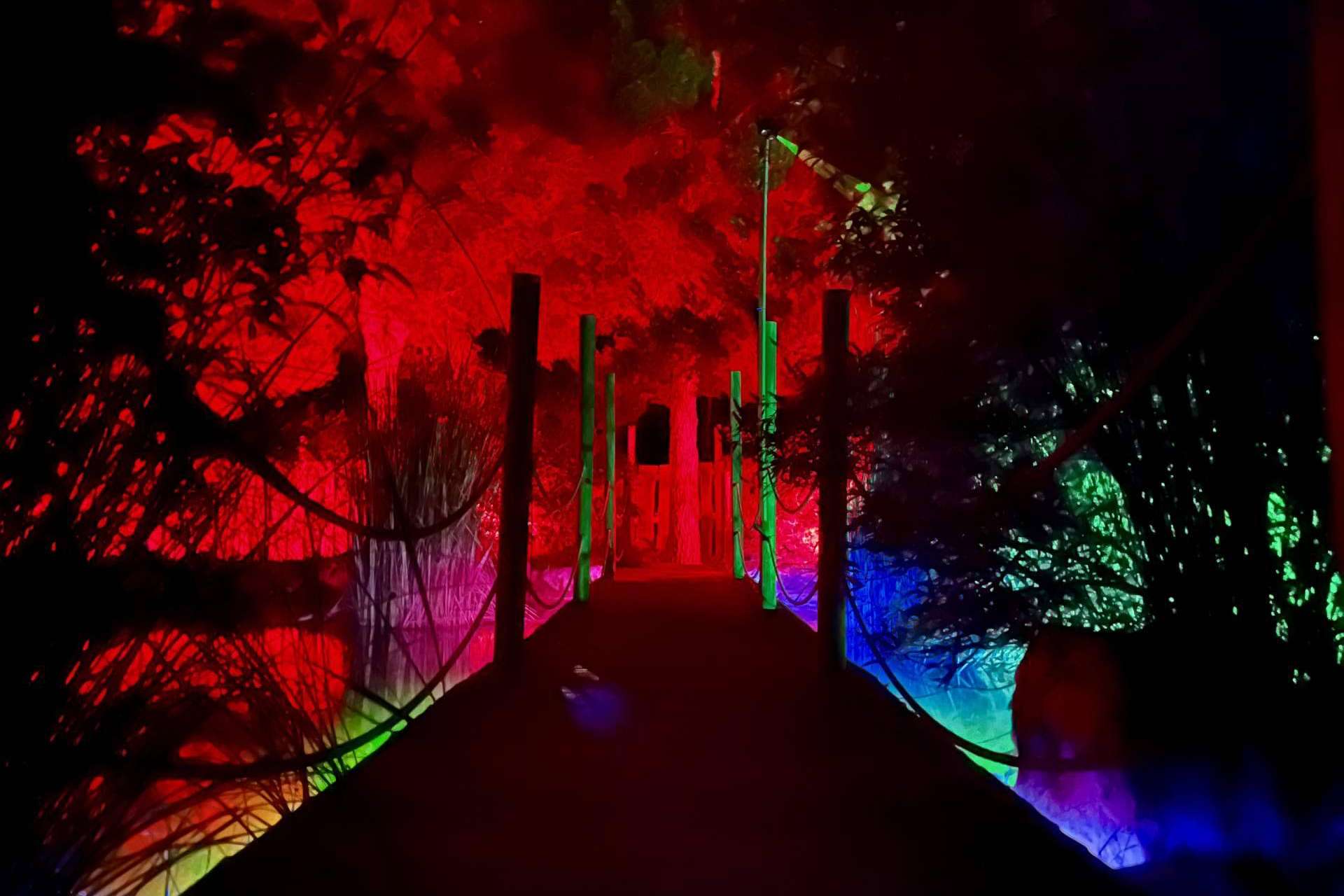 Bibo Park ofrece una experiencia interactiva diferente entre biotecnología y naturaleza