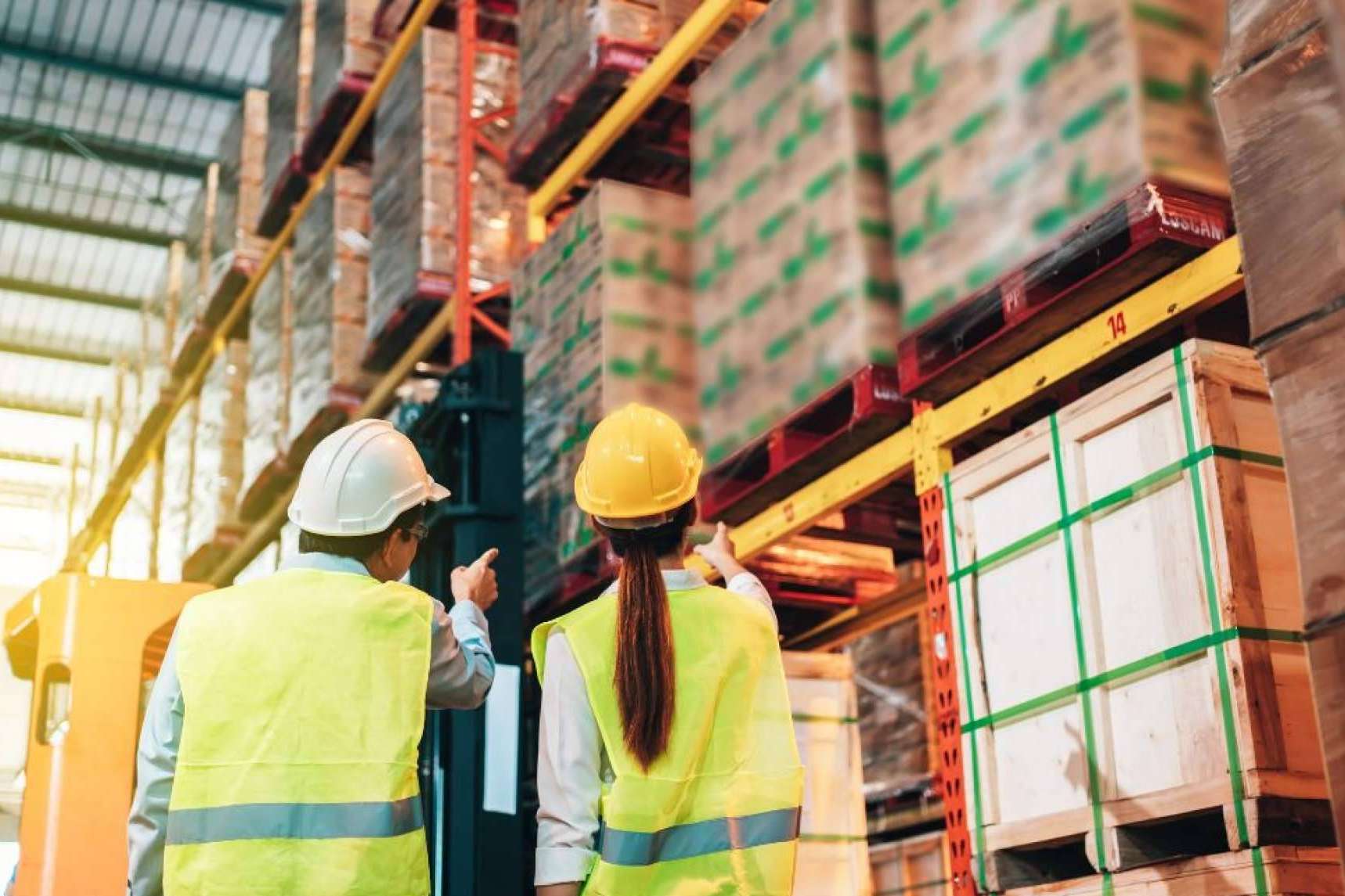 Transformando la seguridad laboral con cursos de última generación