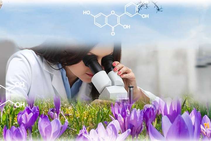 La tecnología Cap-in-Cap; la revolución en la formulación de complementos alimenticios
