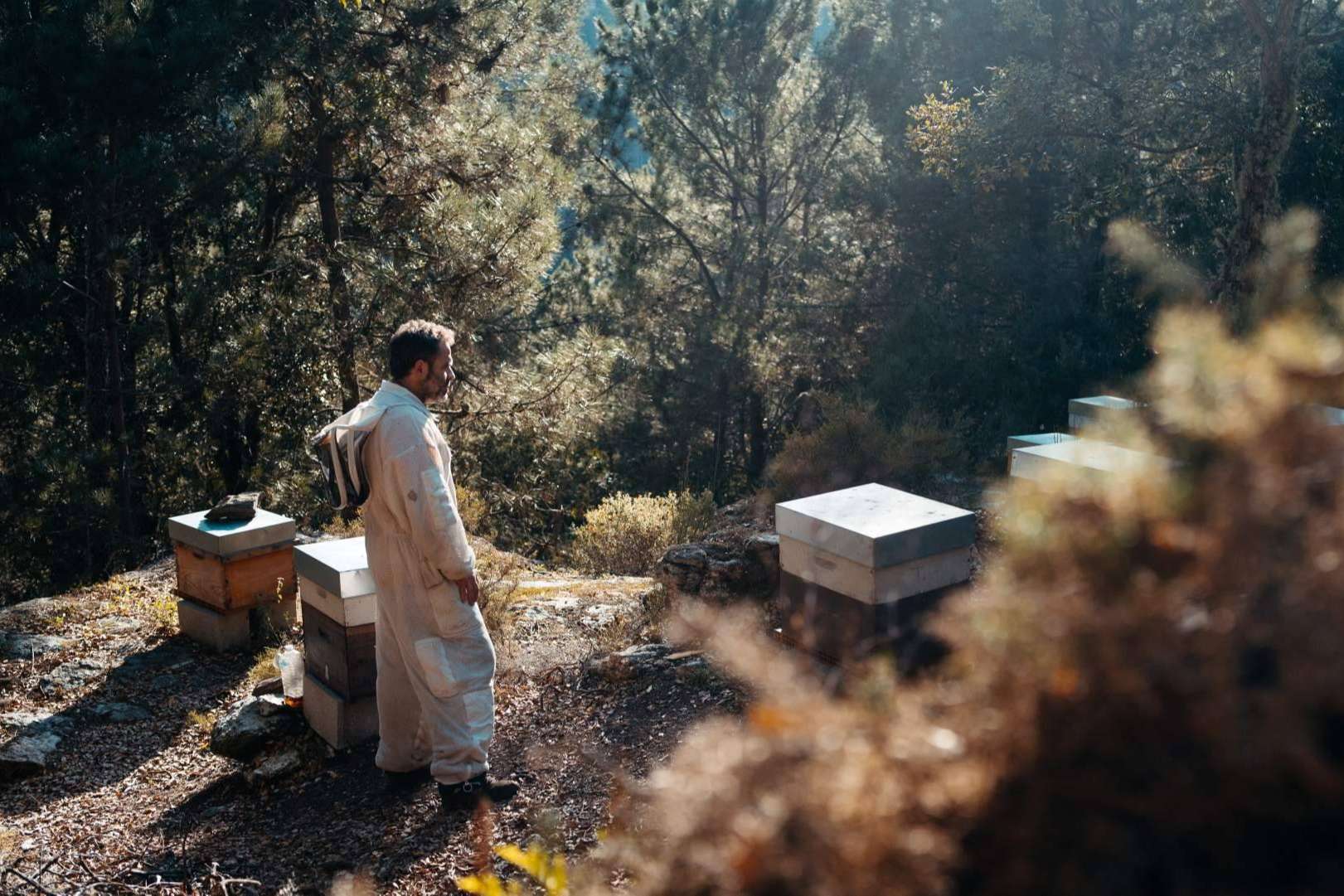 Belleza sostenible y cosmética ecológica; Maruxiña Cosmética marca la diferencia en Galicia