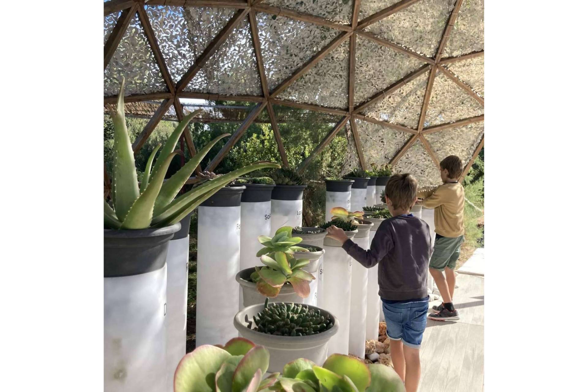 Descubrir Ibiza de forma diferente; Bibo Park, un imprescindible para los amantes de la ciencia y la biodiversidad