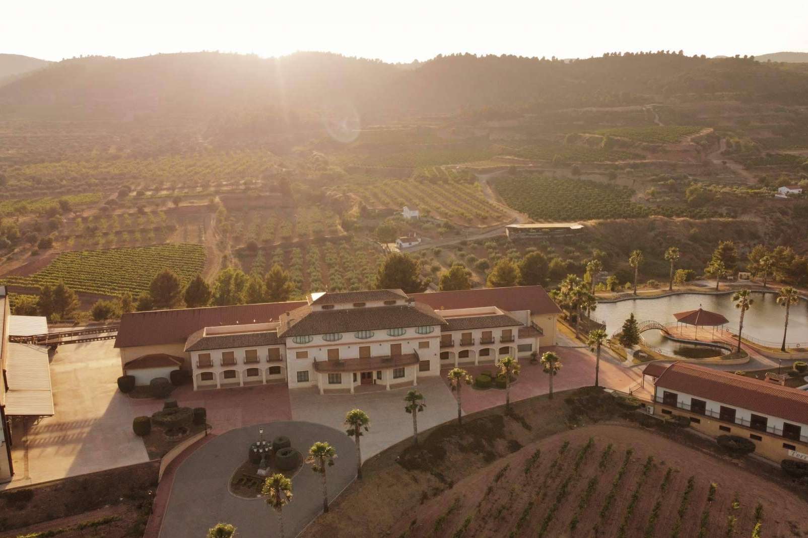 Vegamar impulsa la fusión entre tradición y modernidad en sus vinos gourmet del Alto Turia