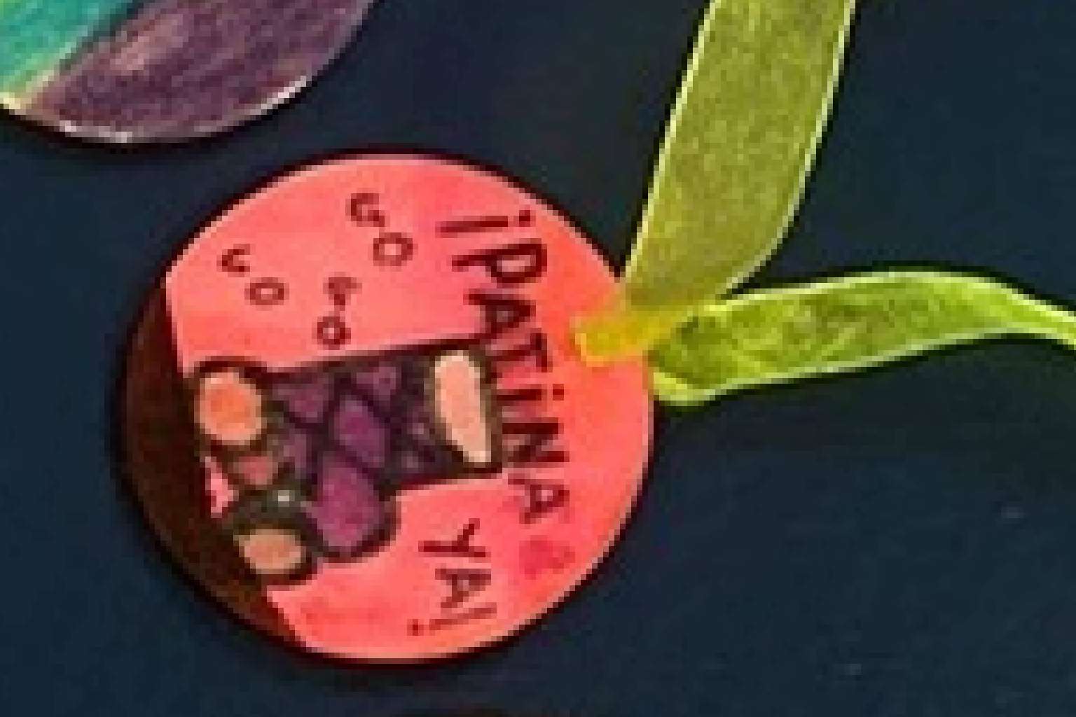 El patinaje, aliado del desarrollo infantil y la conciliación familiar según Club de Patinaje Las Rozas